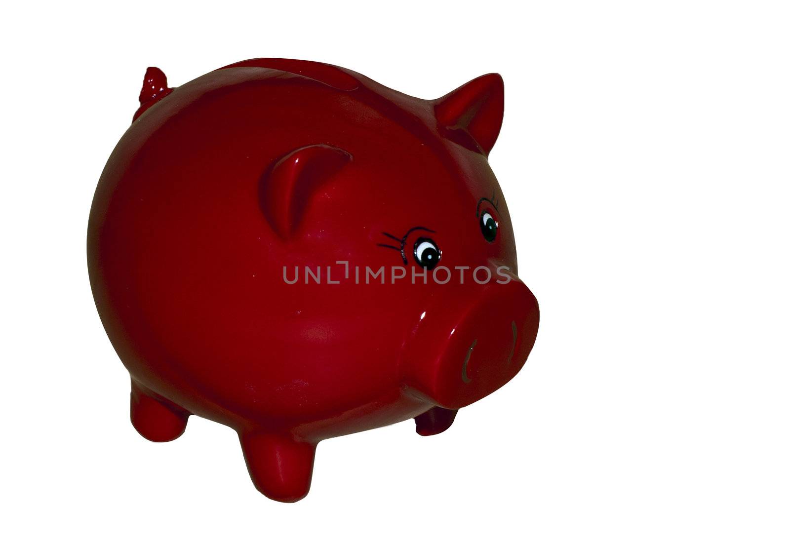 red money pig on wooden background