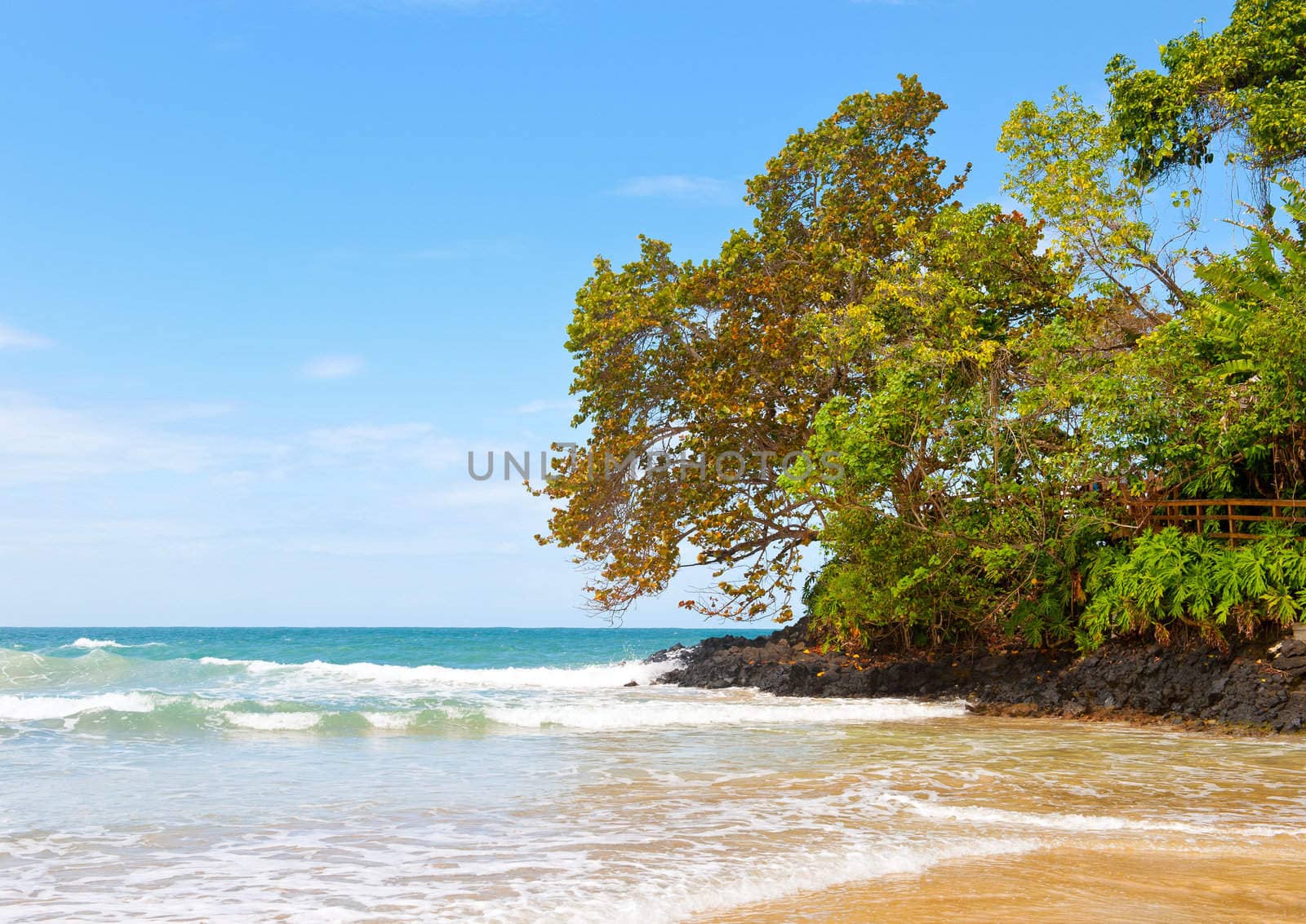 Tropical beach in Bocas del Toro, Panama, red frog beach, in the Caribbean.