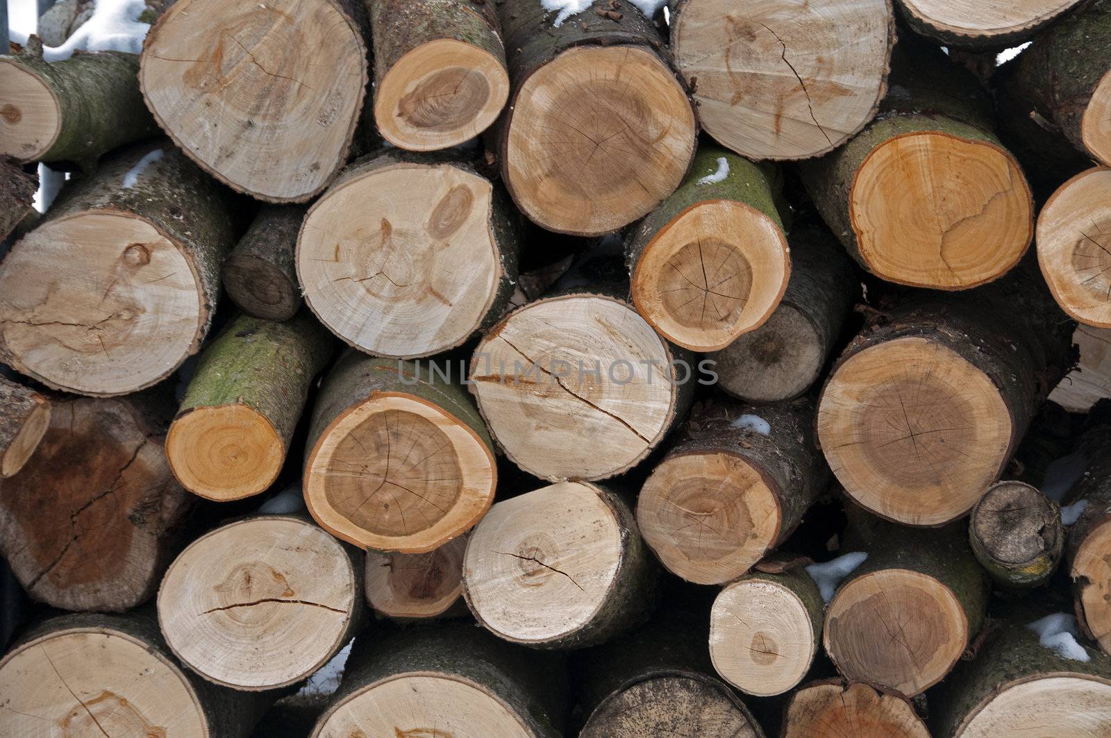 cut trees as a wooden background