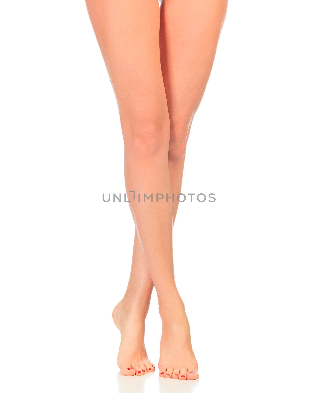 Perfect female legs, isolated on white background by Nobilior