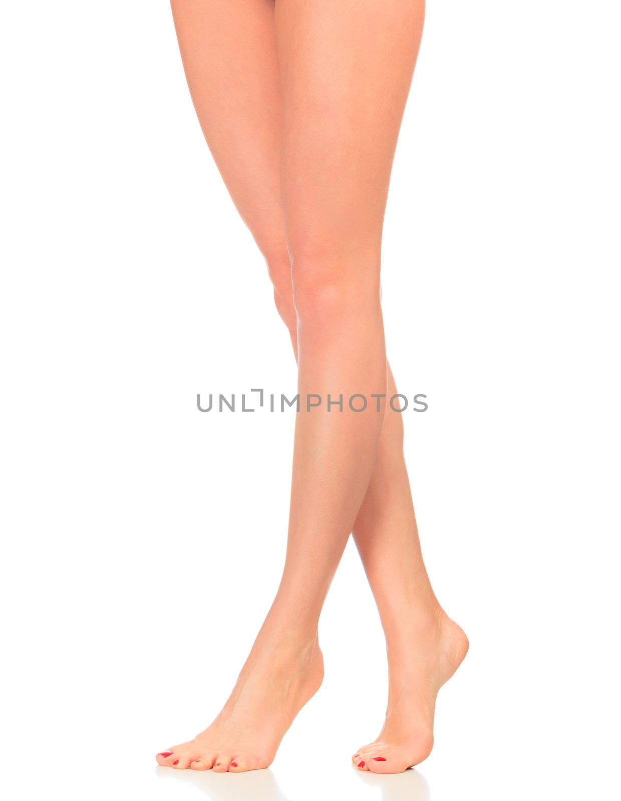 Perfect female legs, isolated on white background