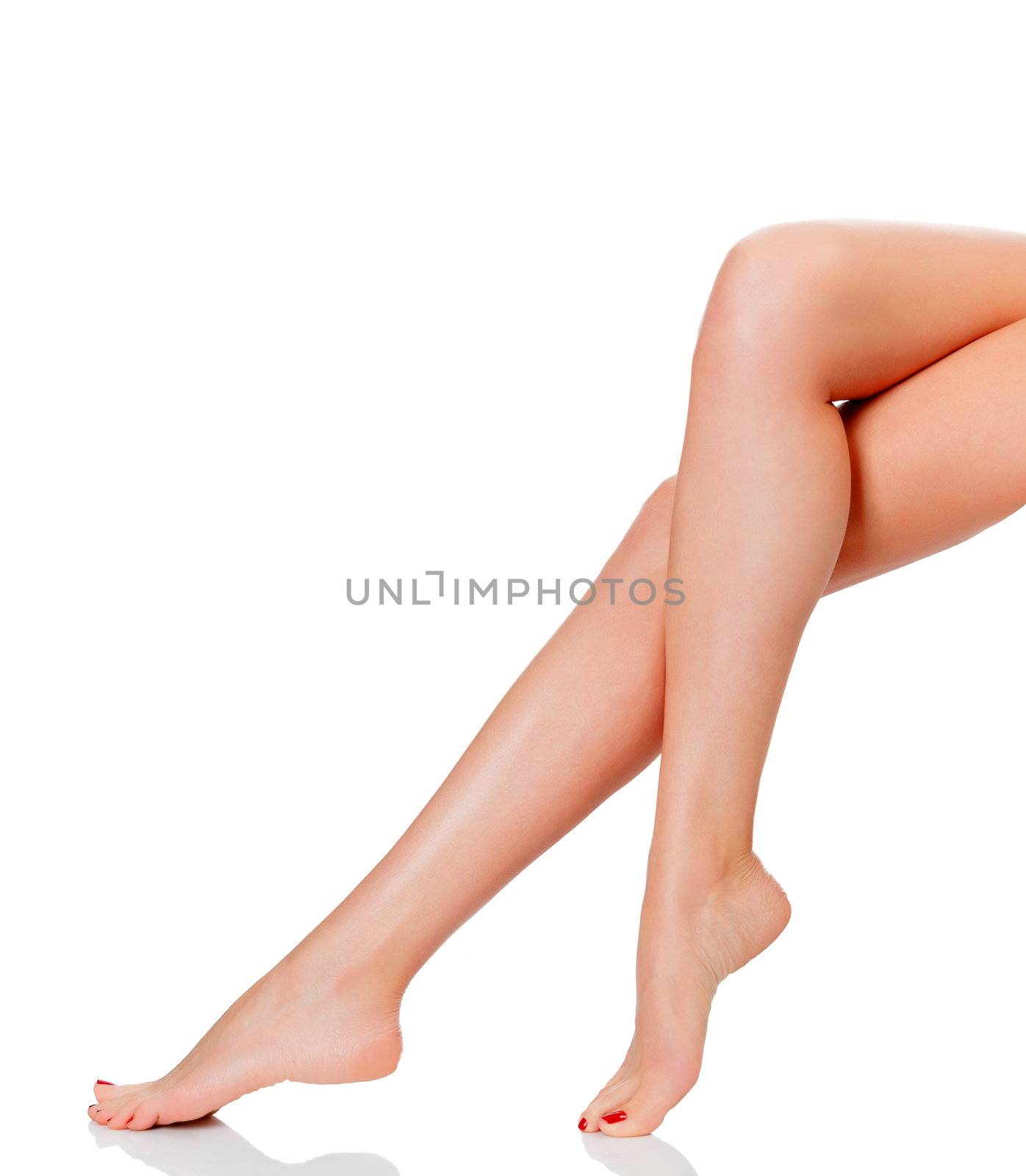 Perfect female legs, isolated on white background by Nobilior