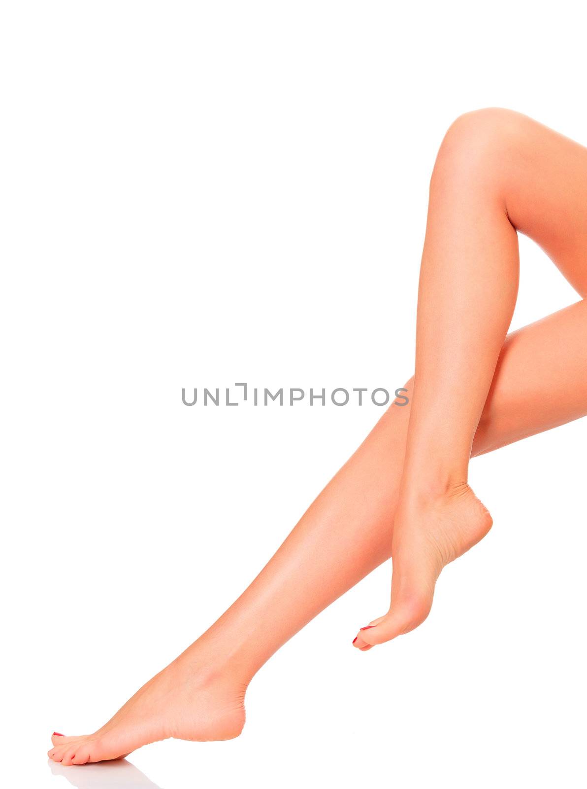 Perfect female legs, isolated on white background