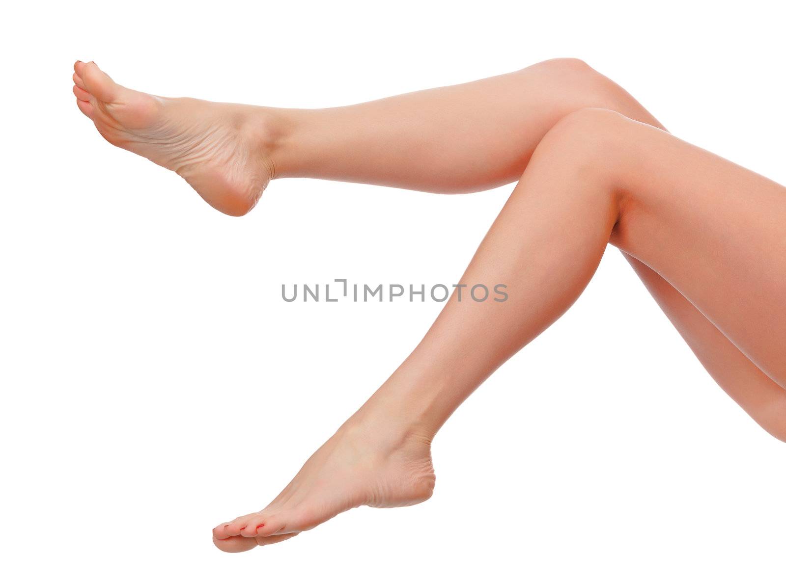 Perfect female legs, isolated on white background by Nobilior