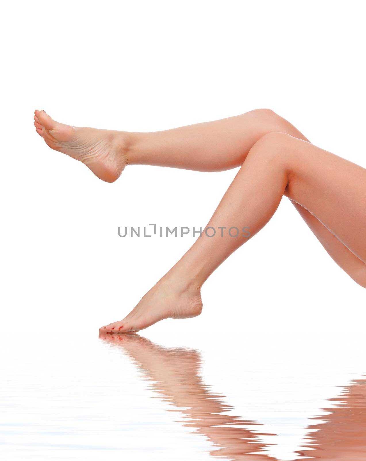 Perfect female legs, isolated on white background by Nobilior