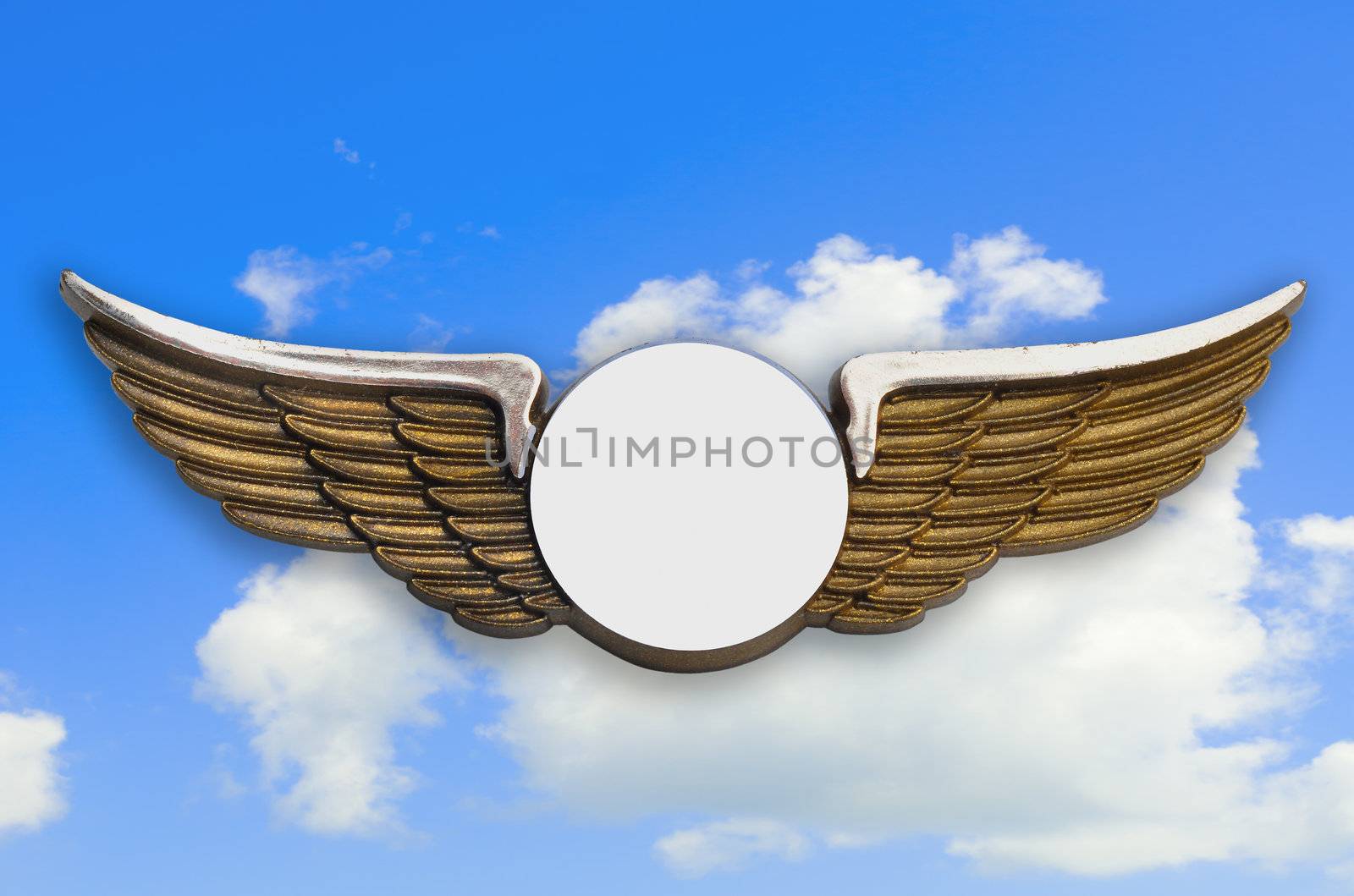 Golden wings pin, with sky in background, clipping path added.