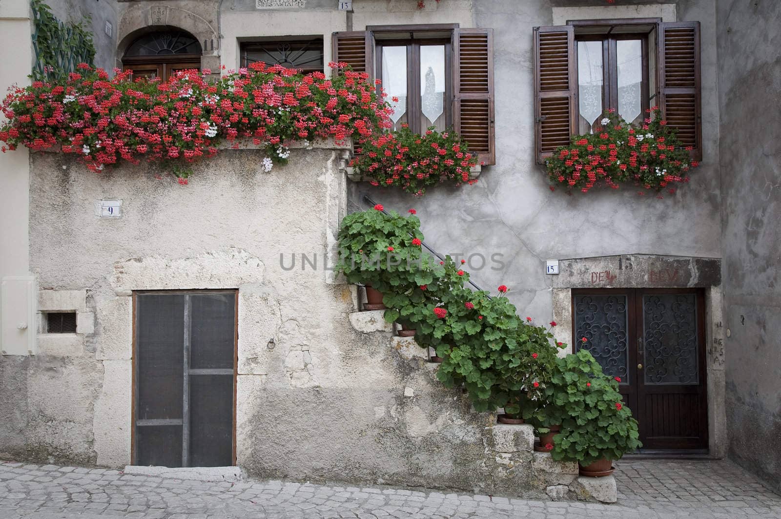 Lots of red geranium by the entrance of a home in the mountain village of Pescocostanzo, region of Abruzzo, Italy.
