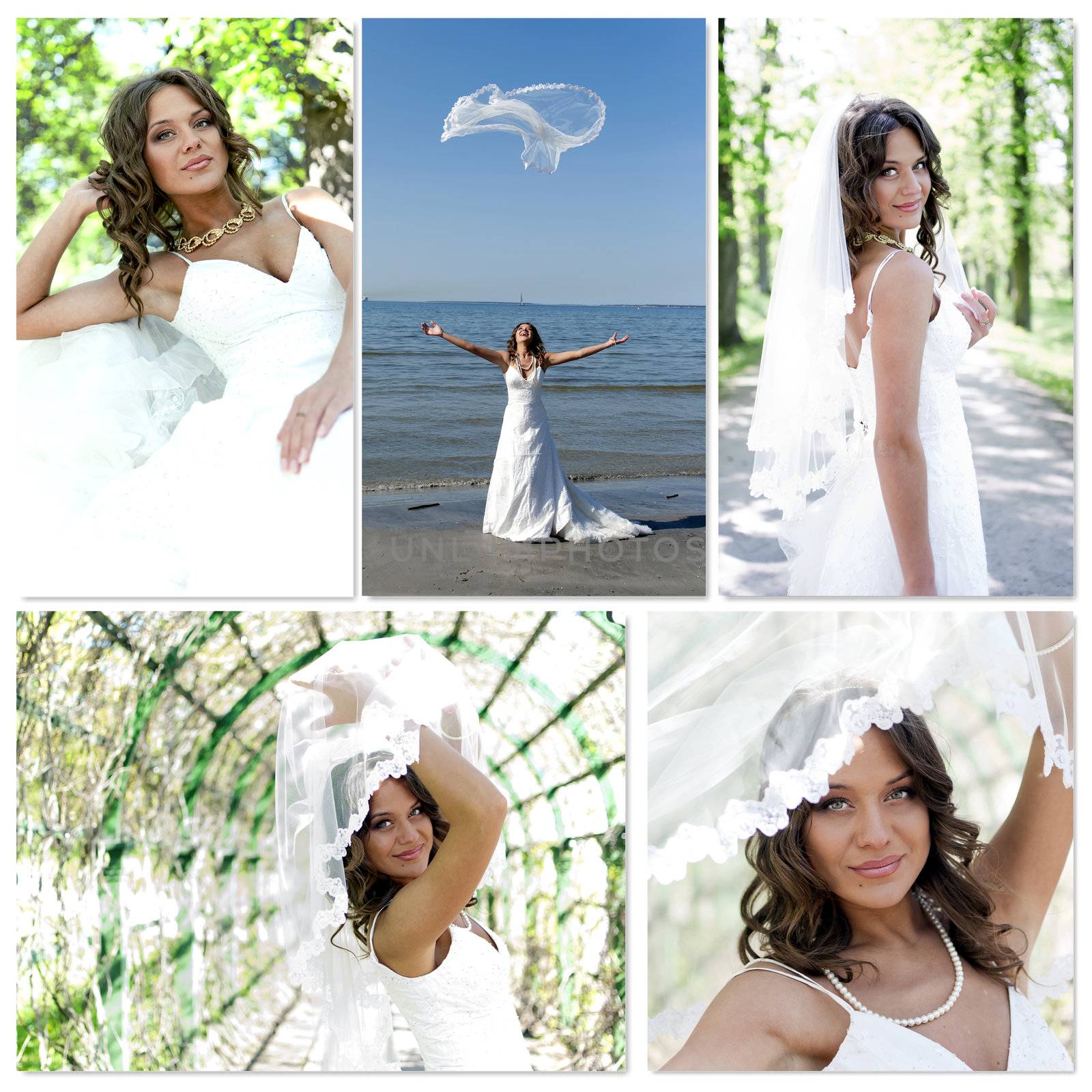 Wedding collage. Made of five photos. by dmitrimaruta