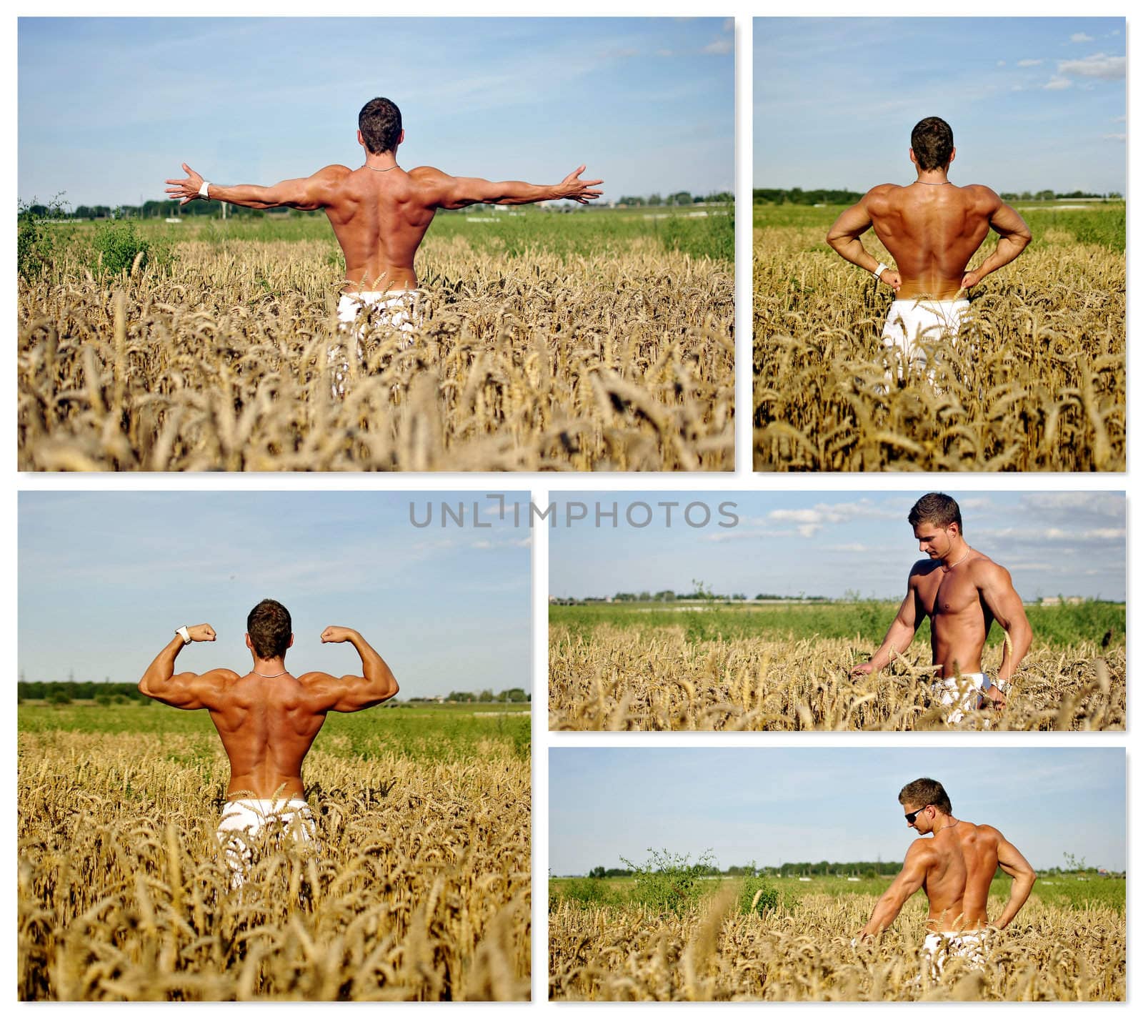 Bodybuilder in the Rye Collage. Made of five photos.