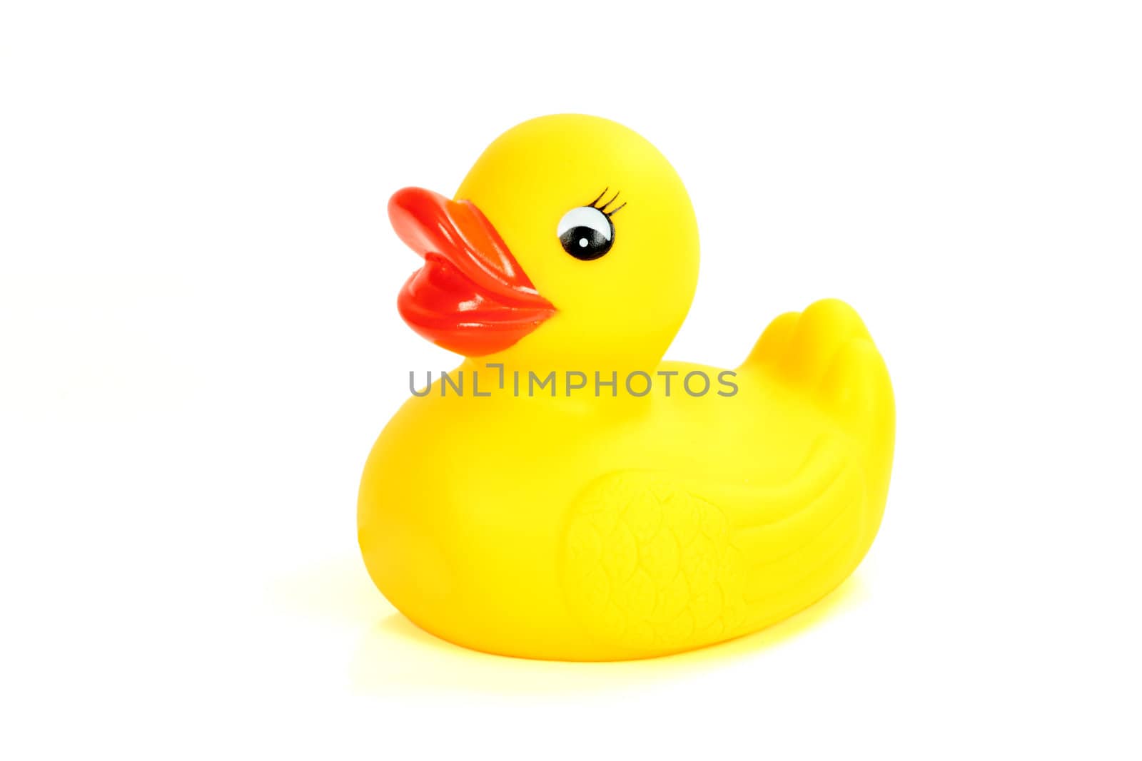 yellow rubber duck bath flat on white background