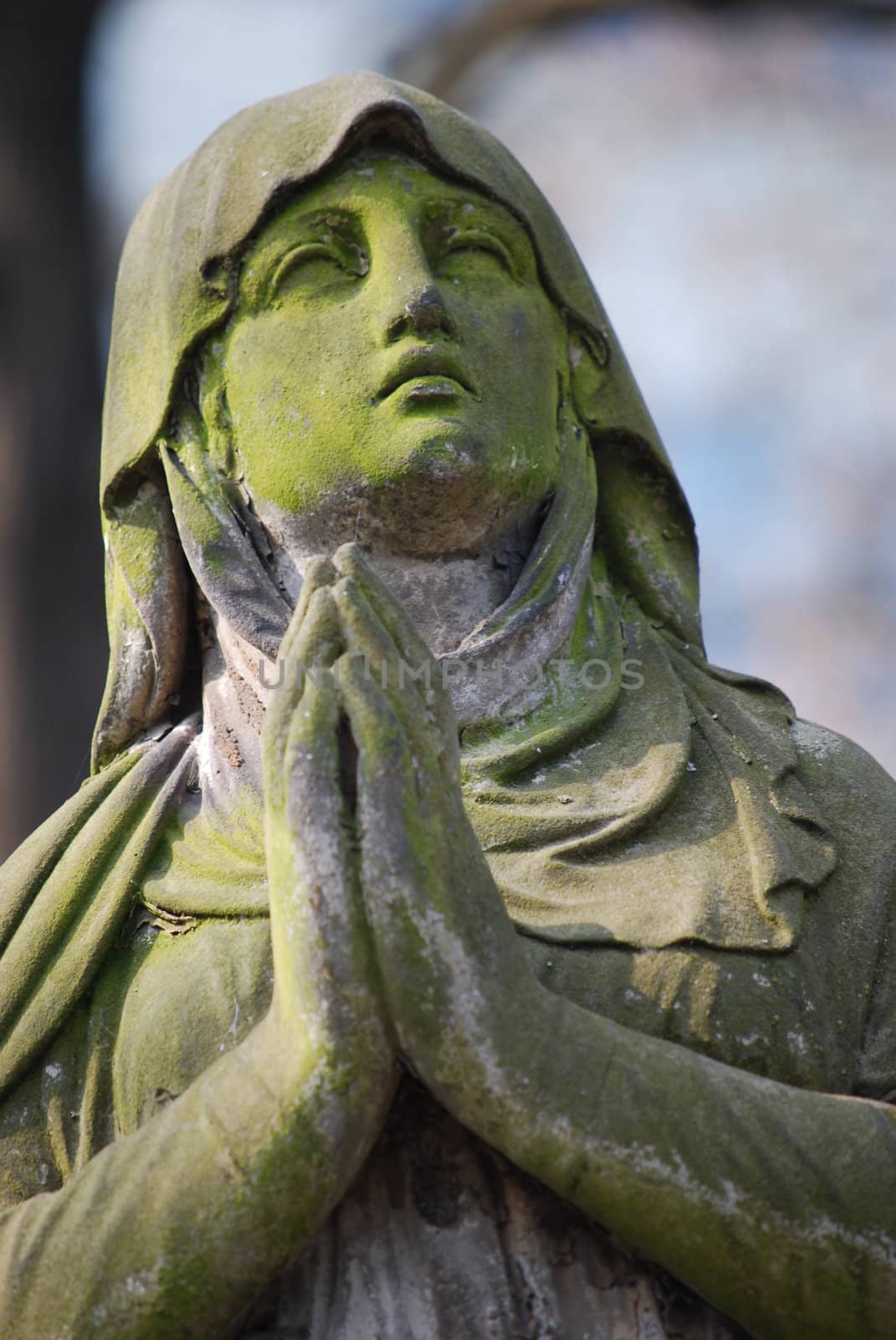 praying woman