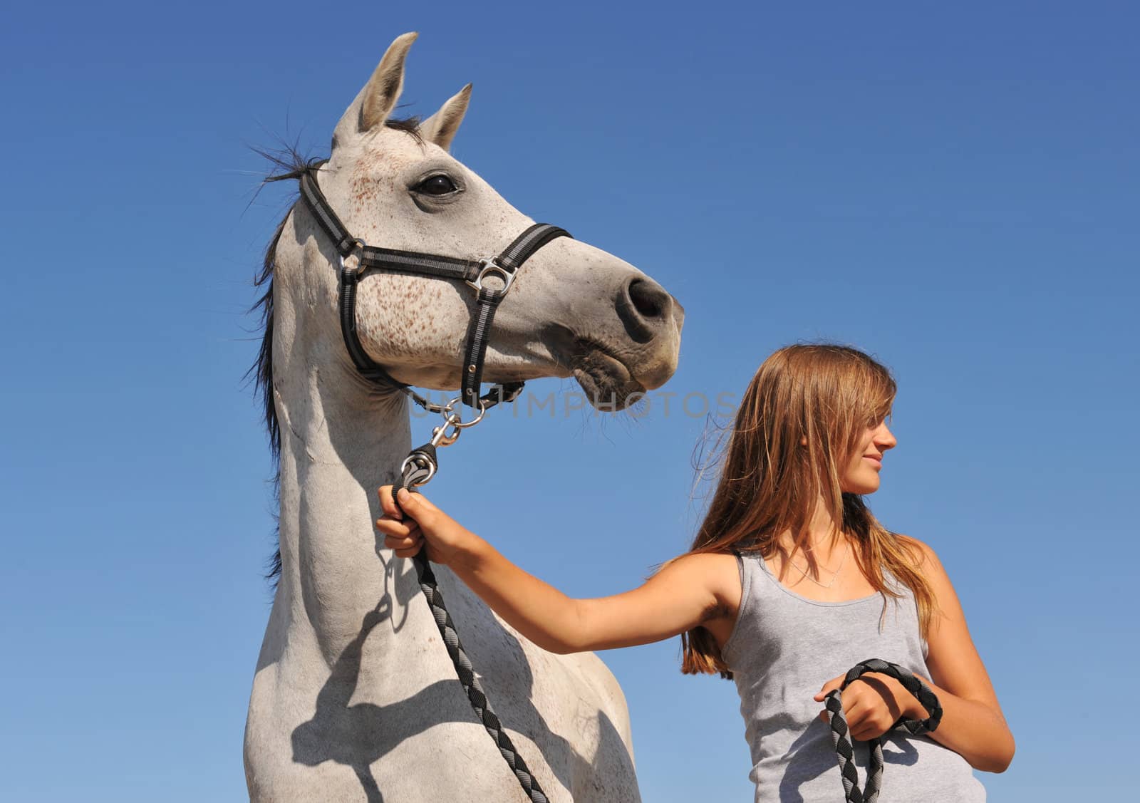 young teenager and her gray arabian horse looking in the same direction