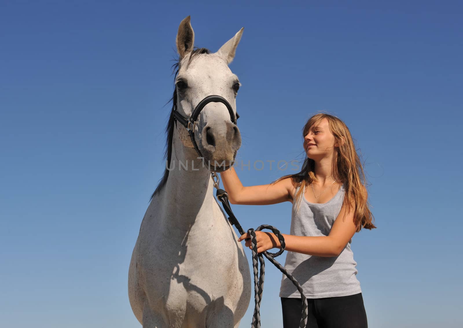 young teenager and her gray arabian horse on a blue sky