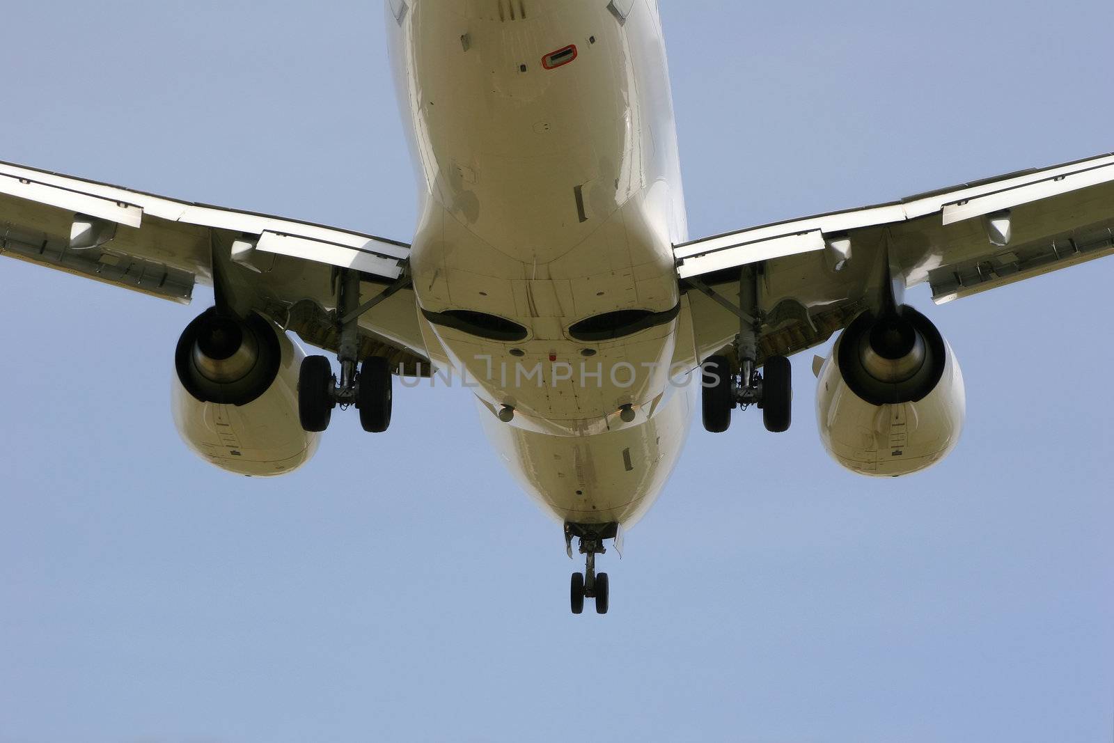 Fly away by Imagecom