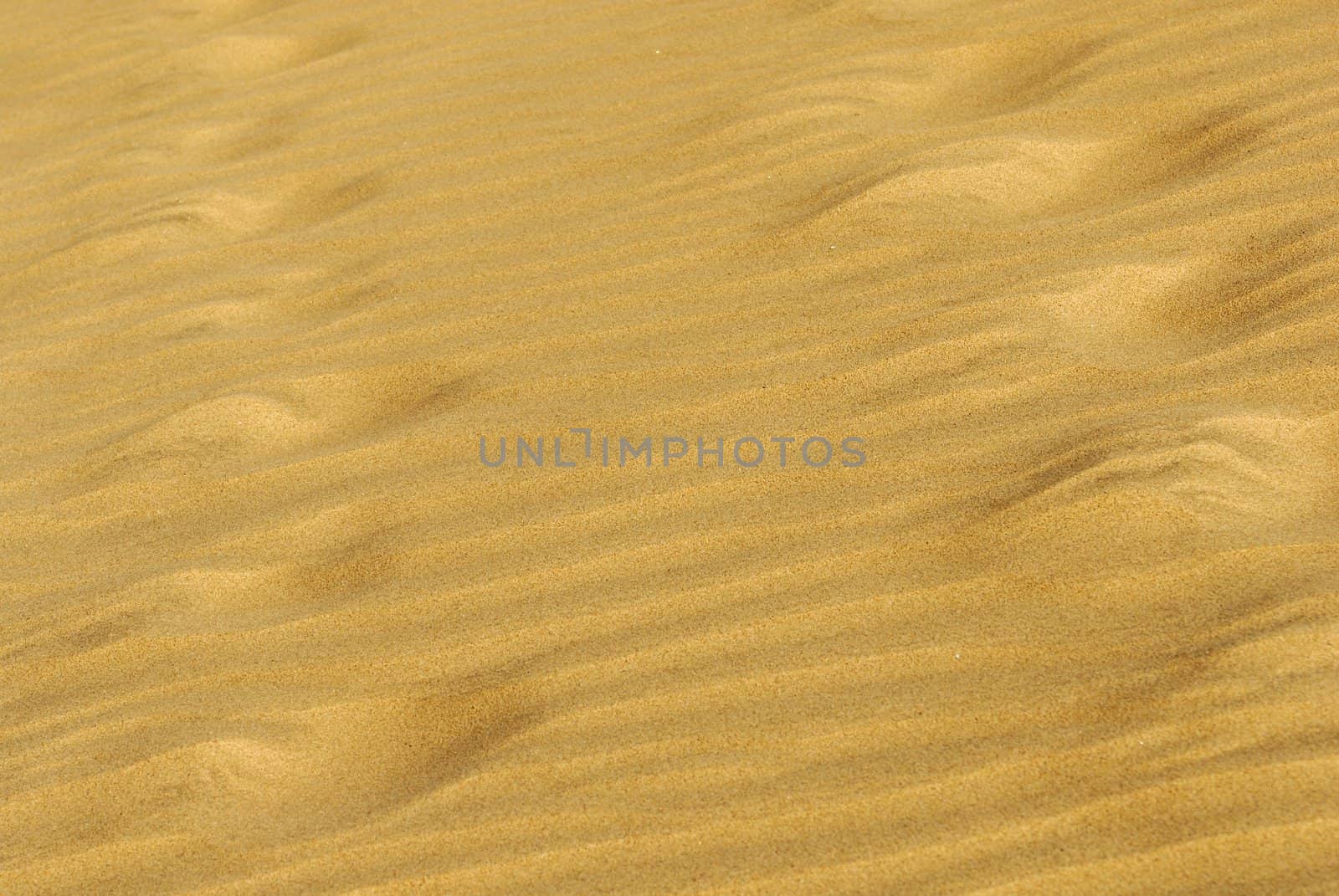 sand by severija