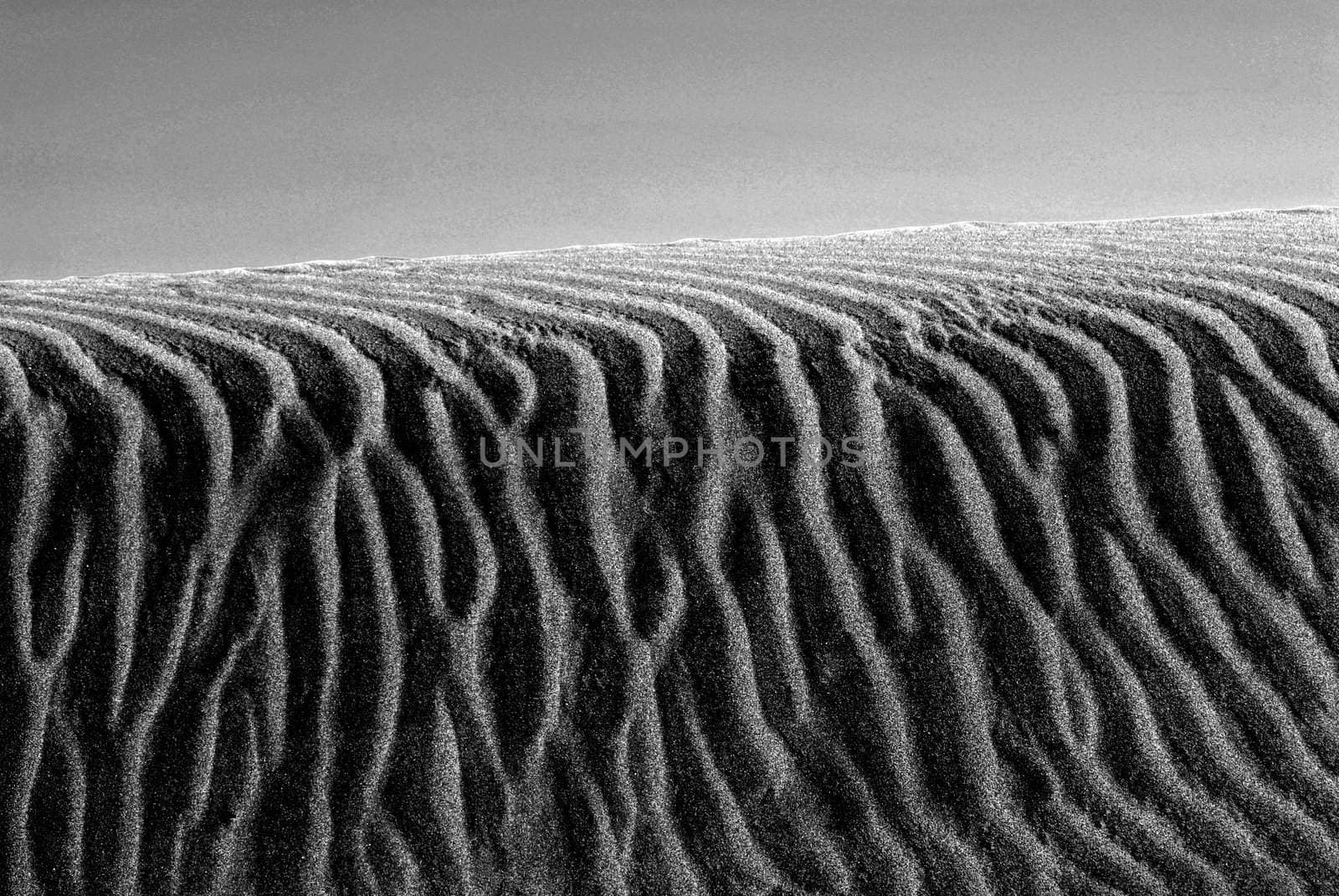 sand in black and white by severija
