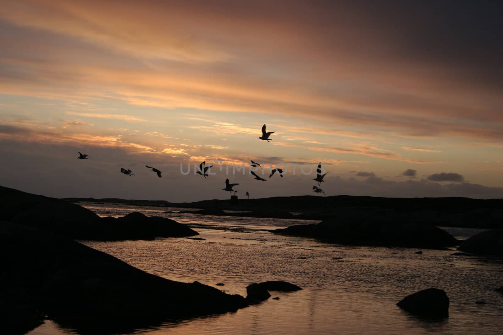 sunset