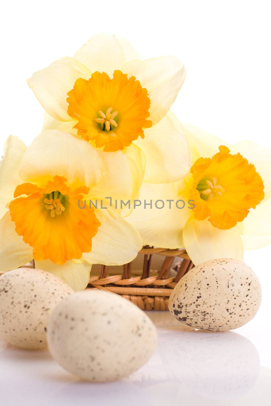 Decorated speckled easter eggs with a bunch of daffodils