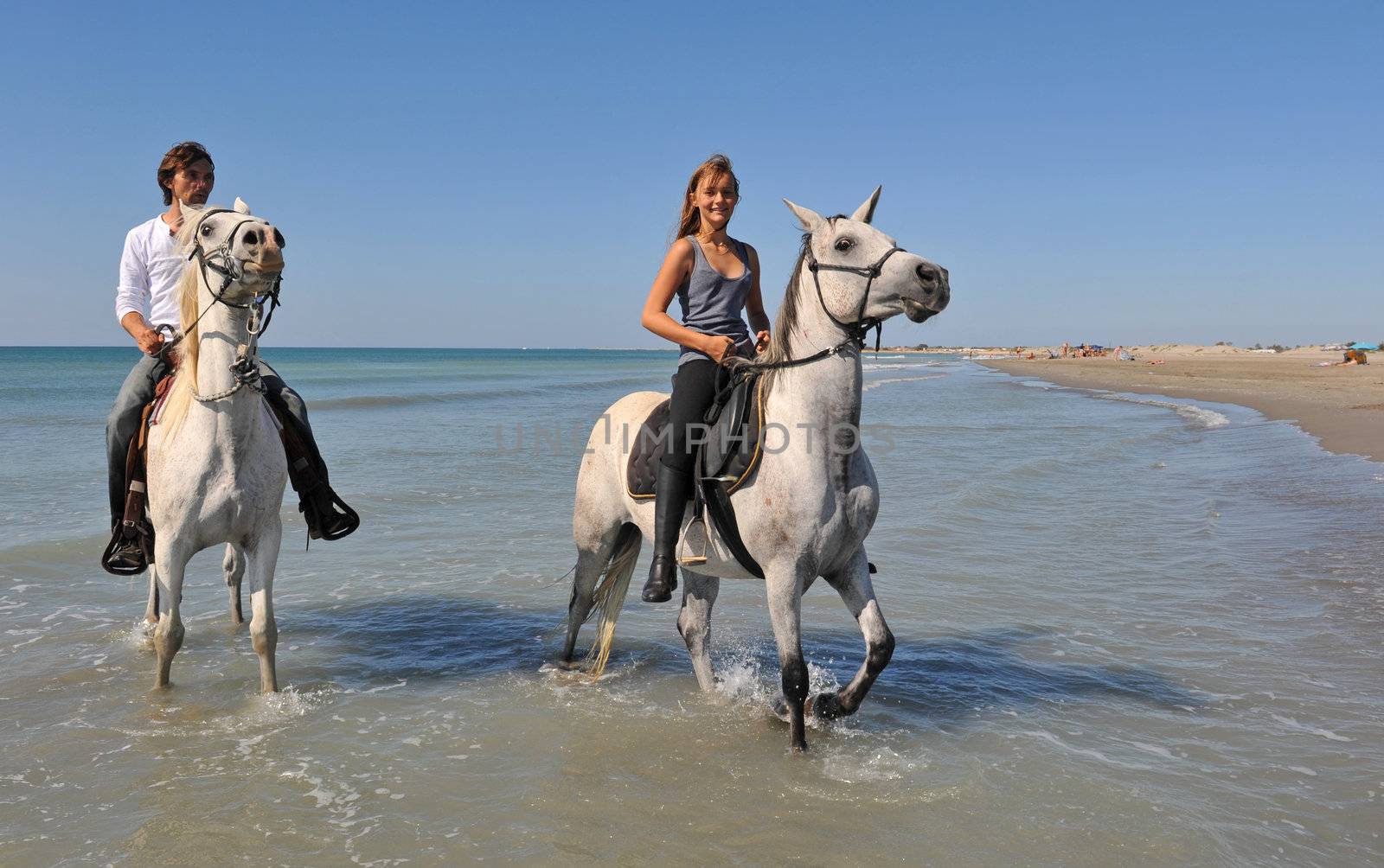 horseback riding on the beach by cynoclub