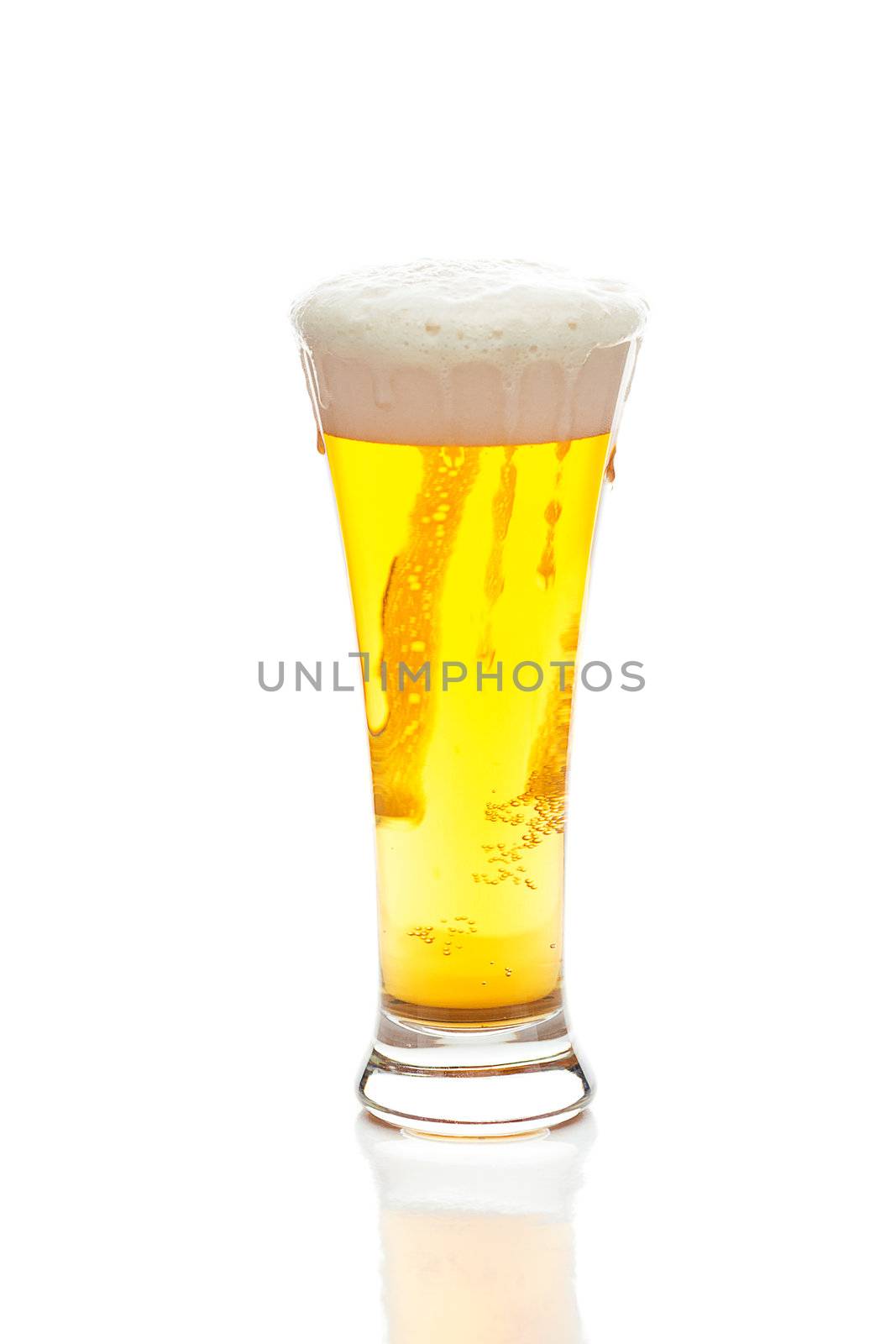 light beer with the foam in a tall glass isolated on white