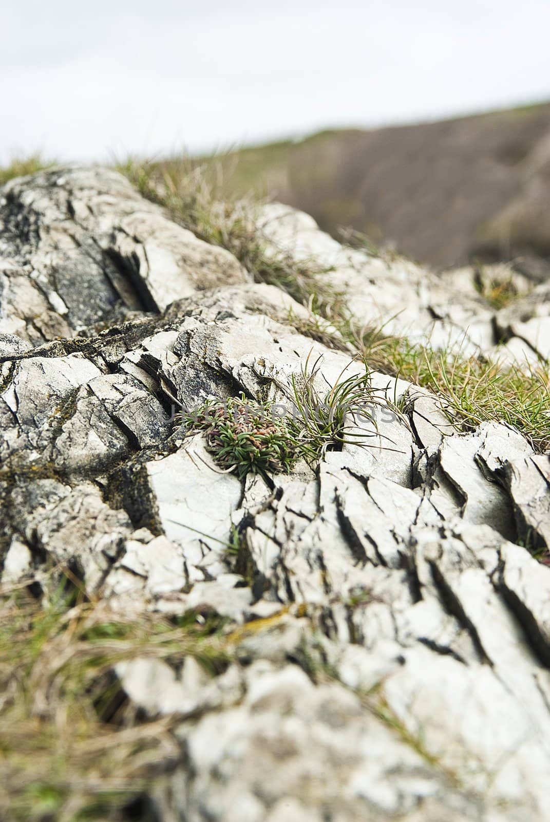 rugged rocks covered in grass  on fistral beach, newquay, cornwall, uk