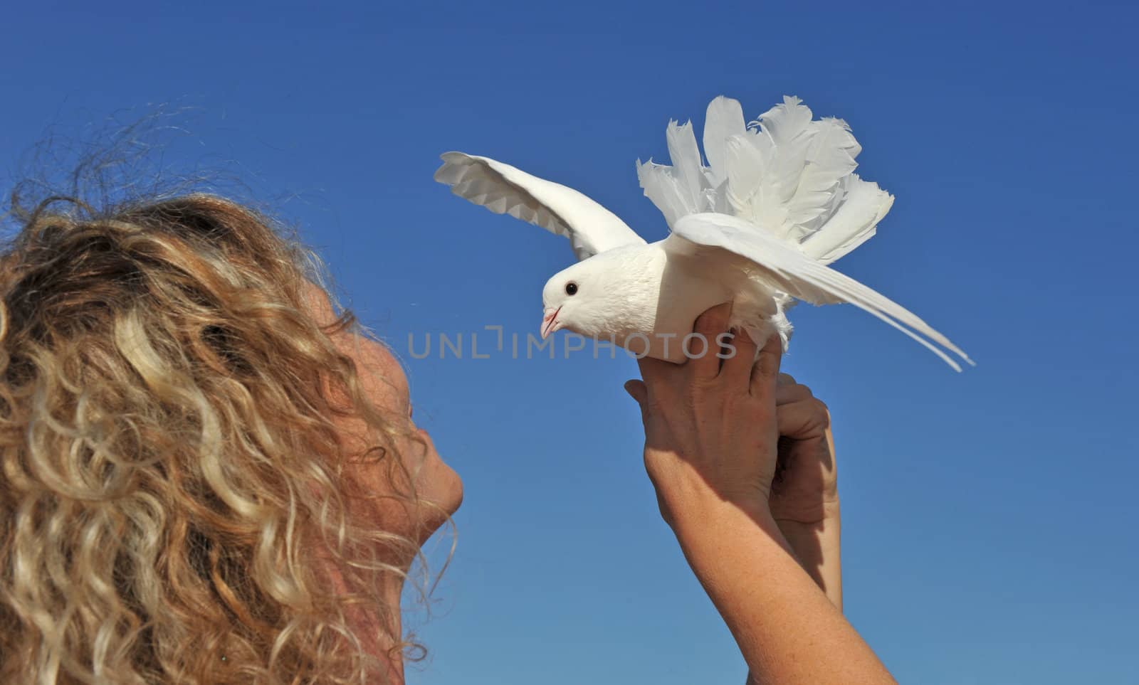 young girl and her dove on a blue sky
