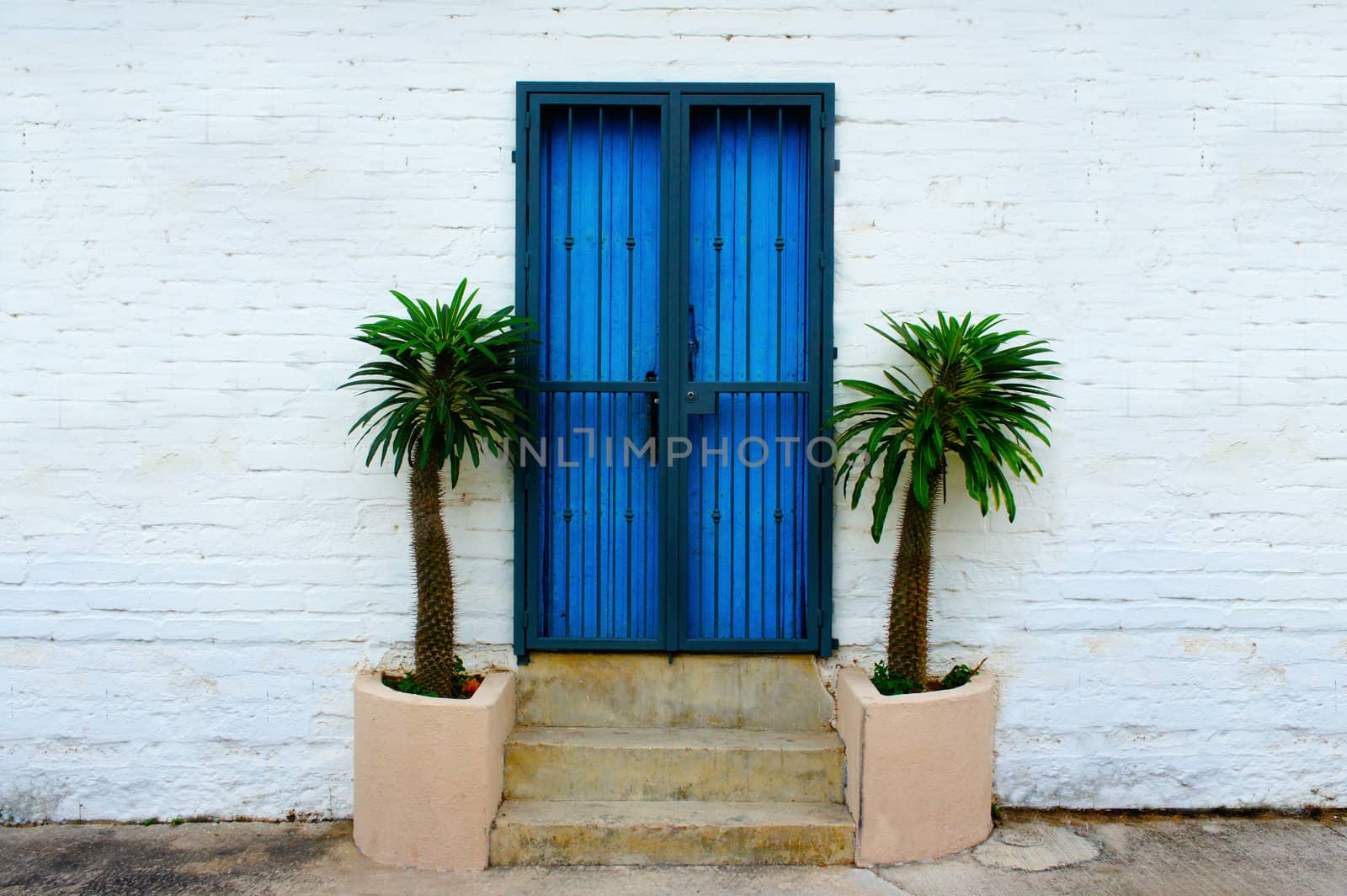 White wall brick background with blue door and palm trees. 