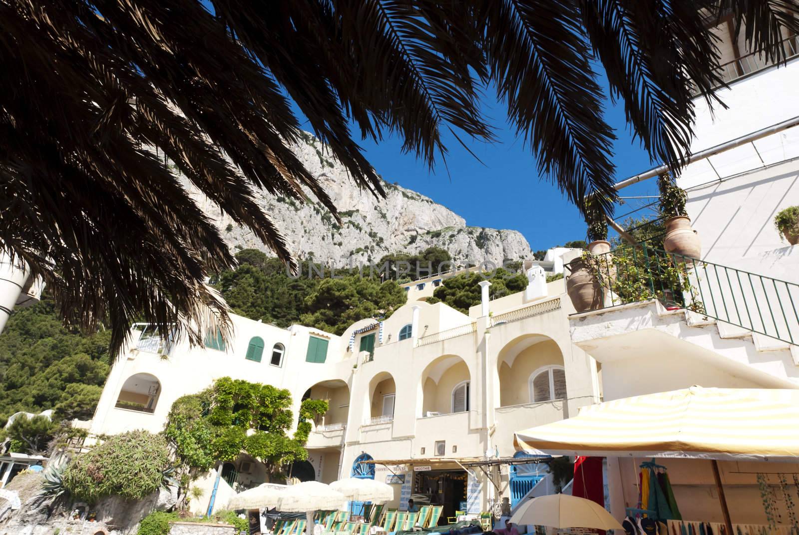 looking at building and cliffs under palm trees, marina piccollo capri italy by itsrich