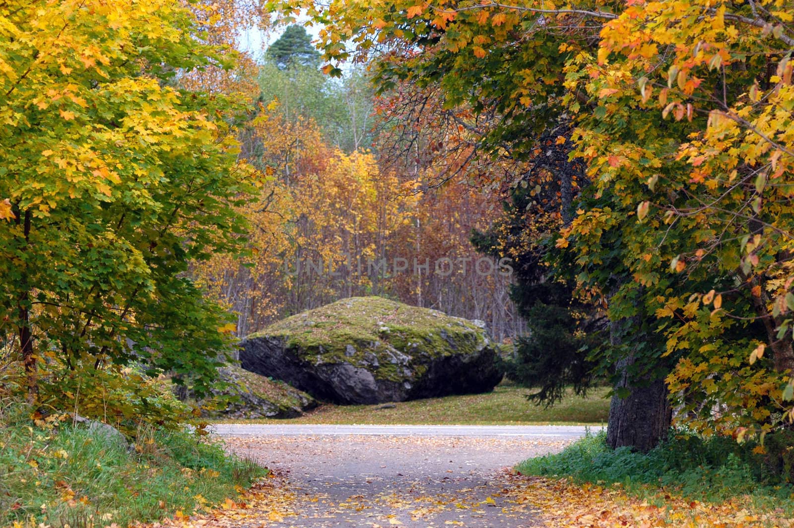 Natural beauty autumn landscapes