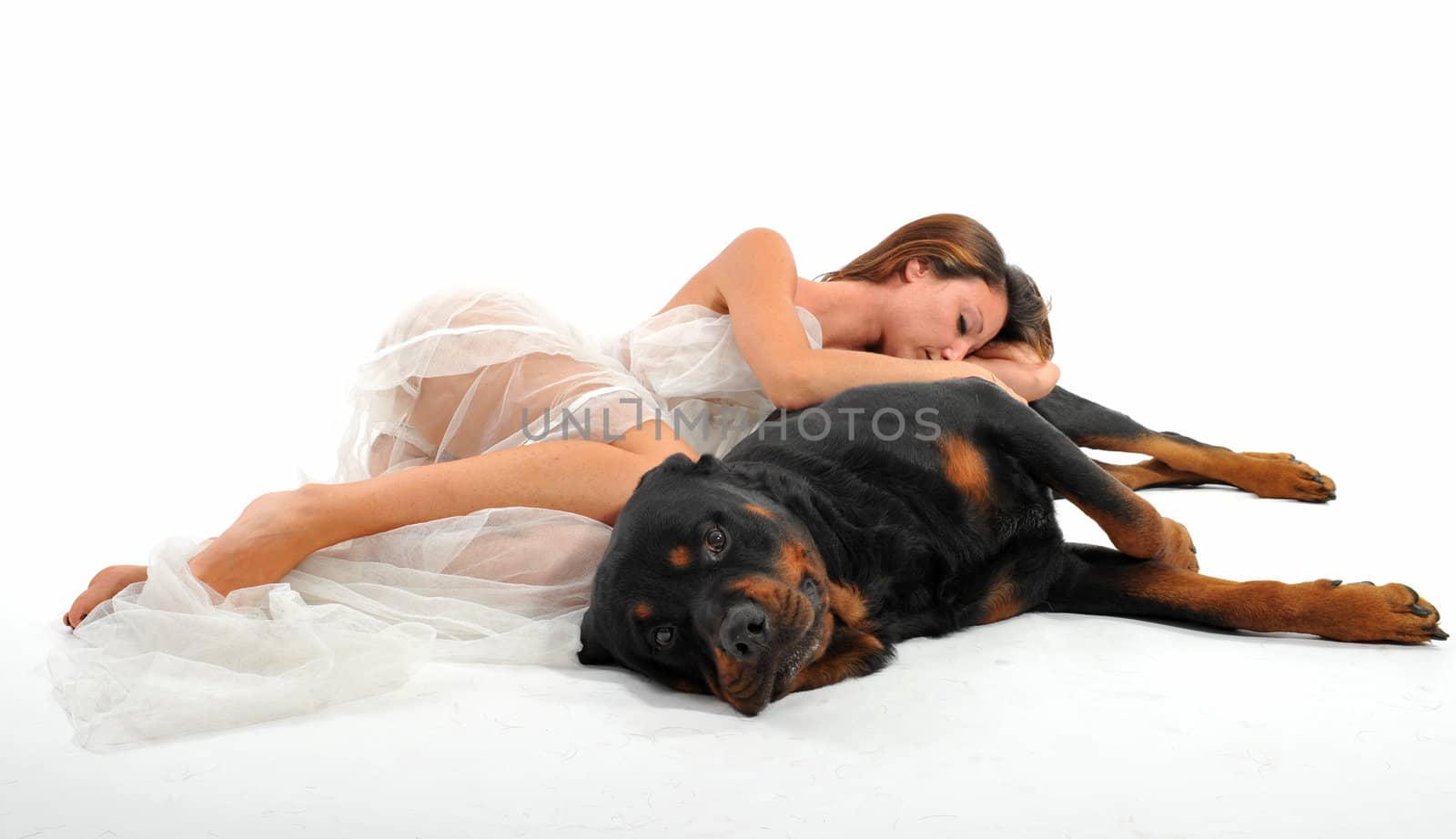 sleeping young bride and her purebred rottweiler 
