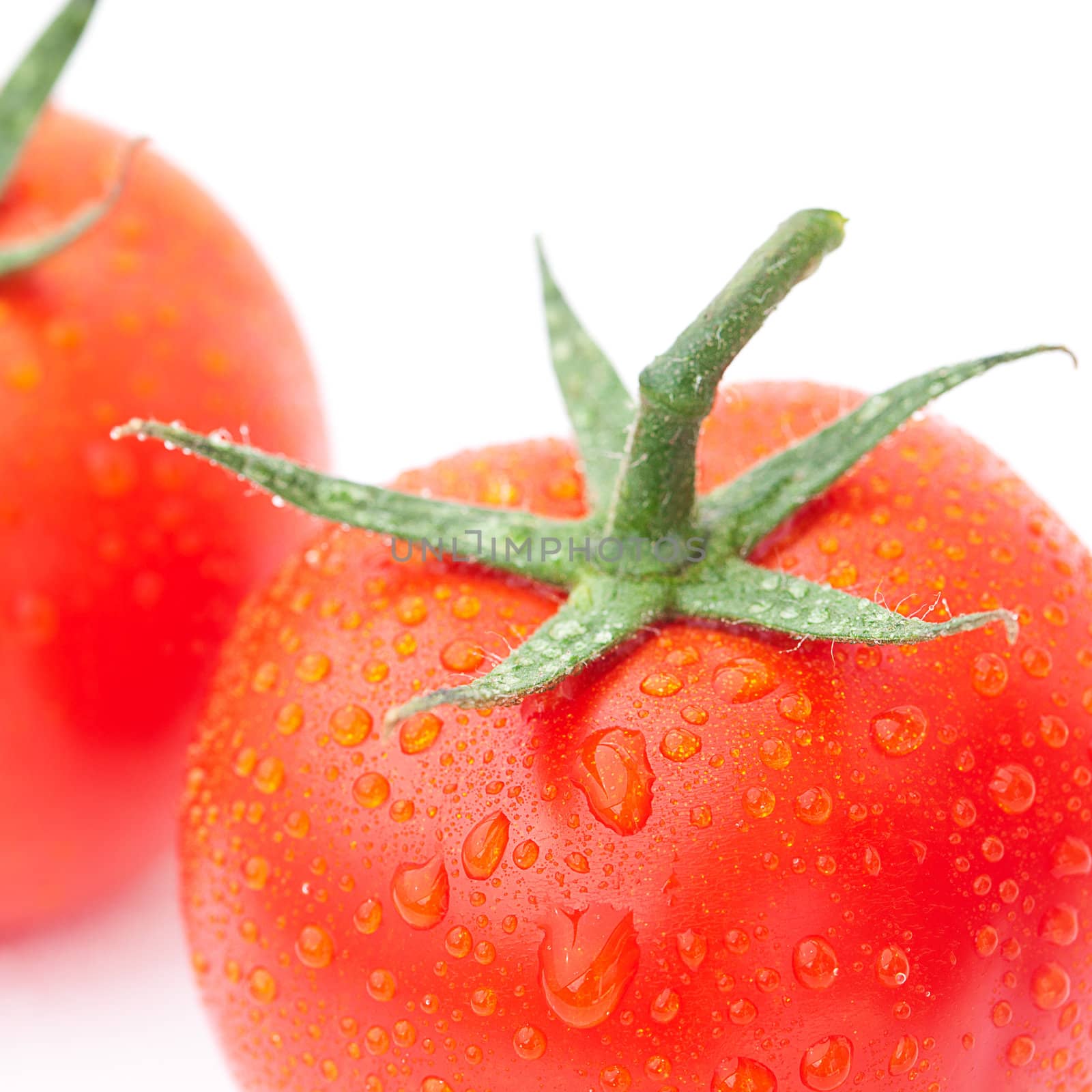 background of the tomato with water drops by jannyjus