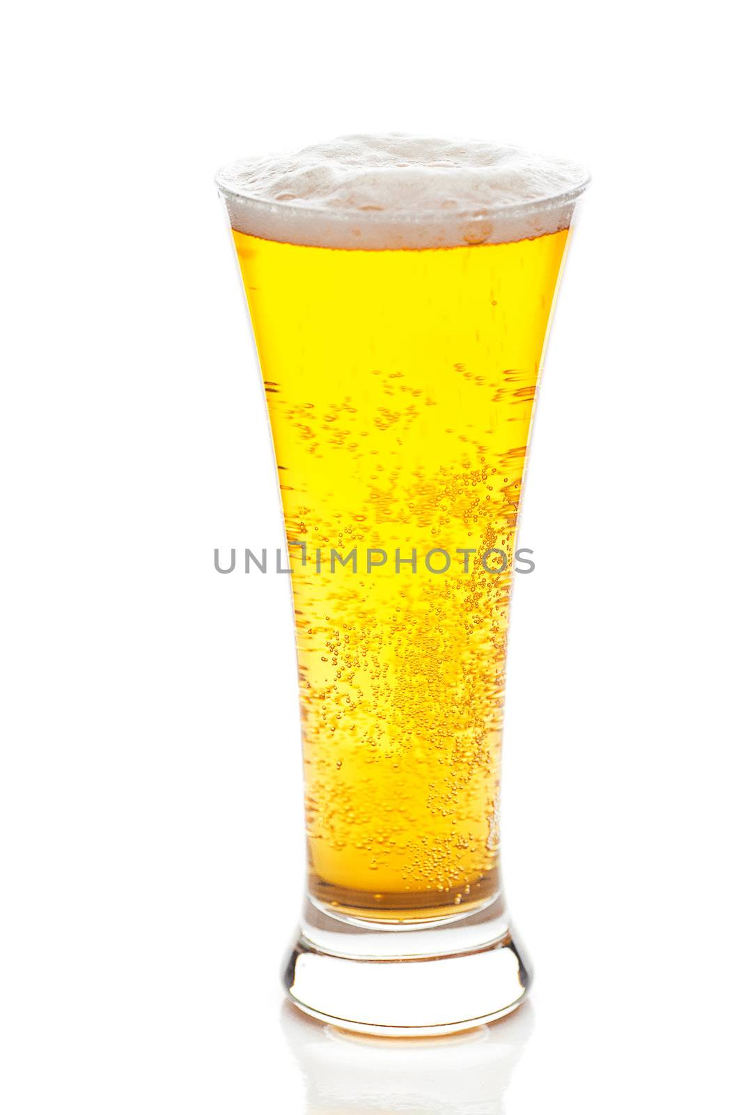 light beer with the foam in a tall glass isolated on white