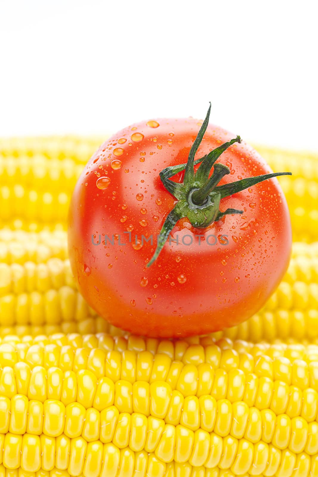 background of ripe yellow corn and tomato by jannyjus