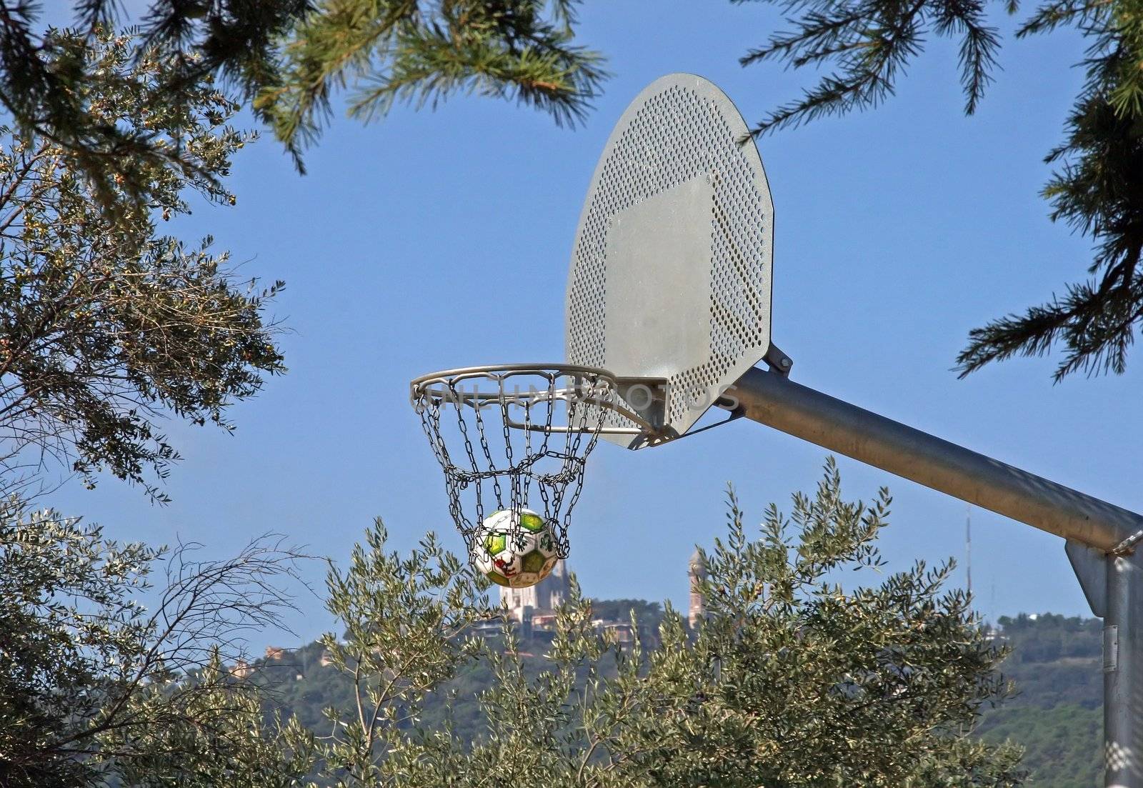 basketball surrounded with vegetation, in a outdoor park