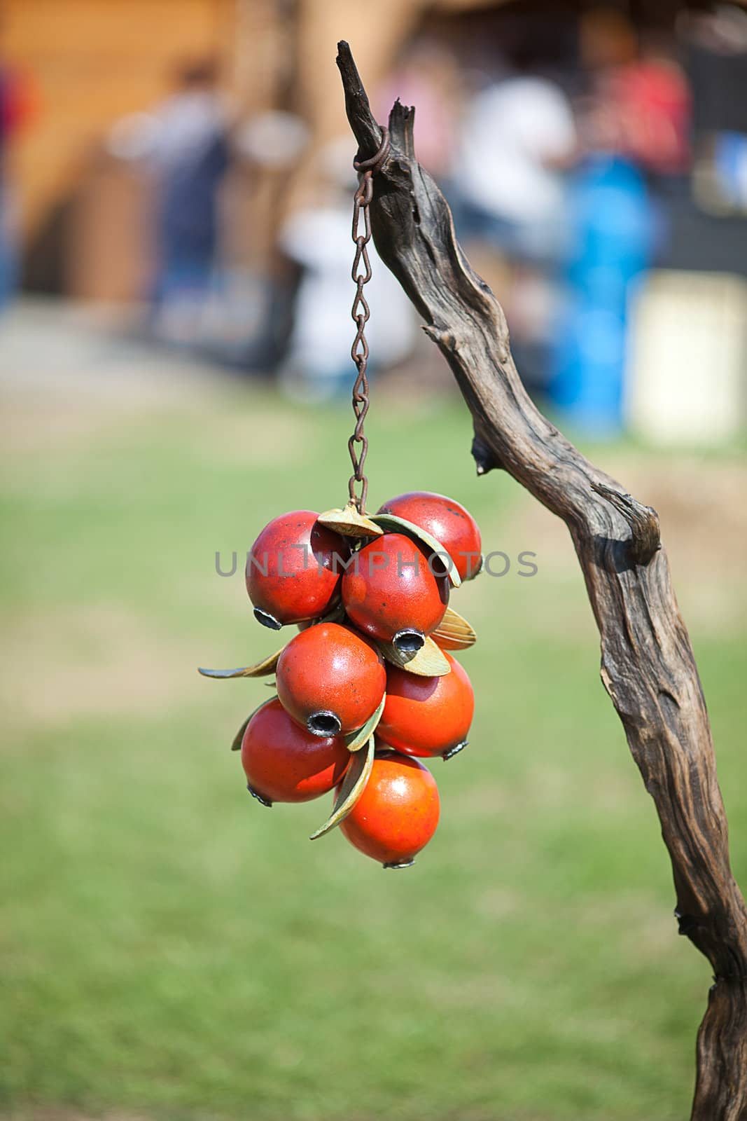 wood berries hang on a branch