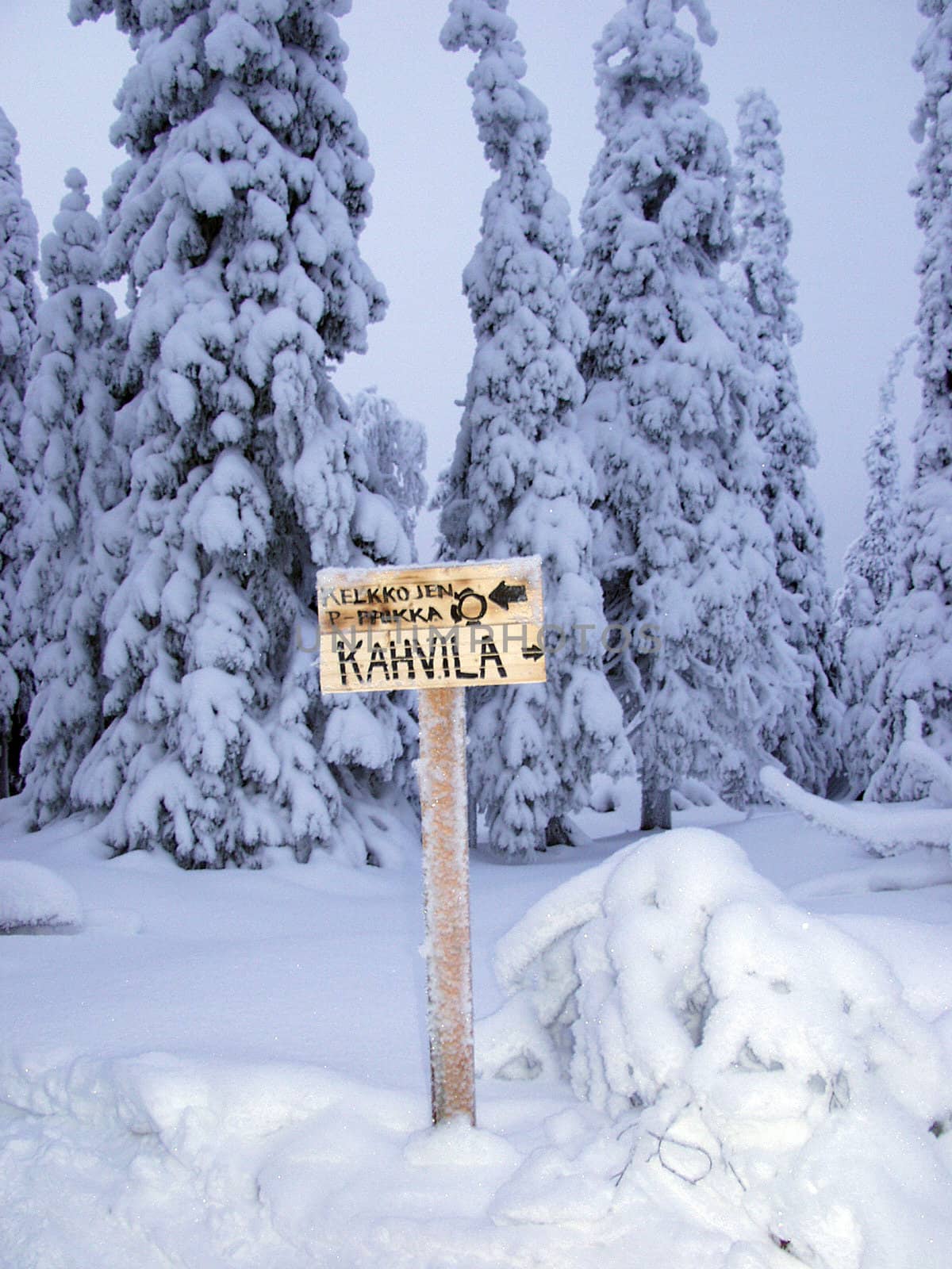 Signpost in the winter forest by NickNick