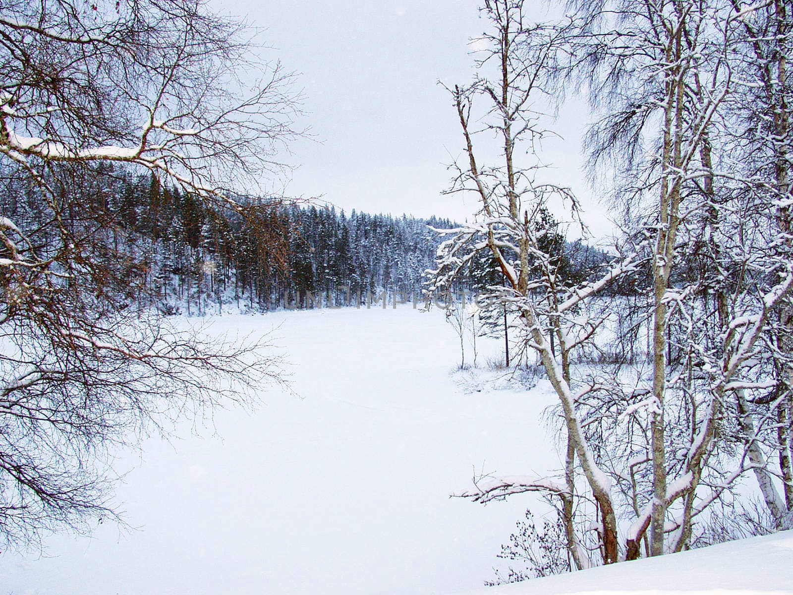 Winter landscape by NickNick