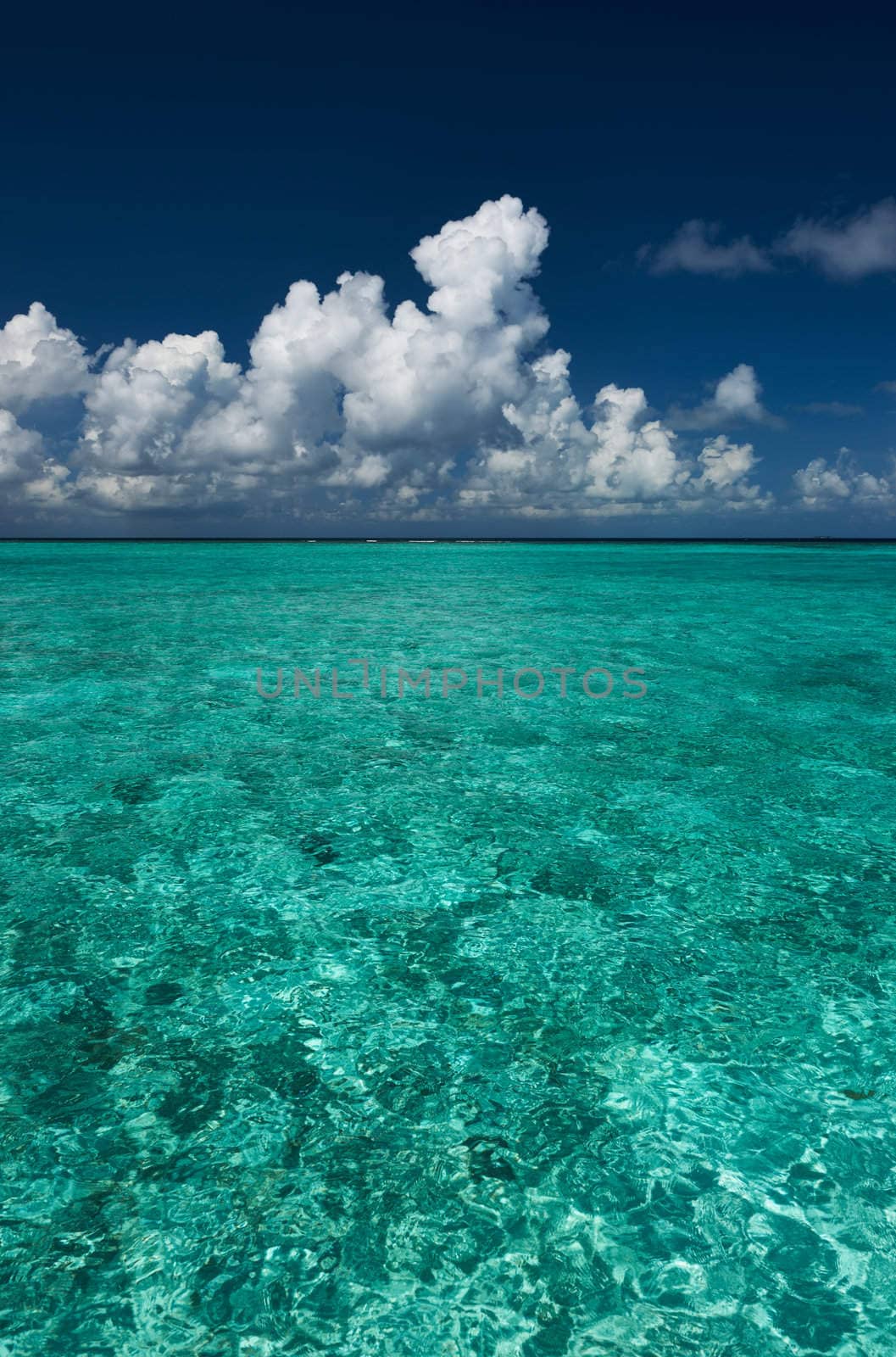 Crystal clear turquoise water at tropical beach by haveseen