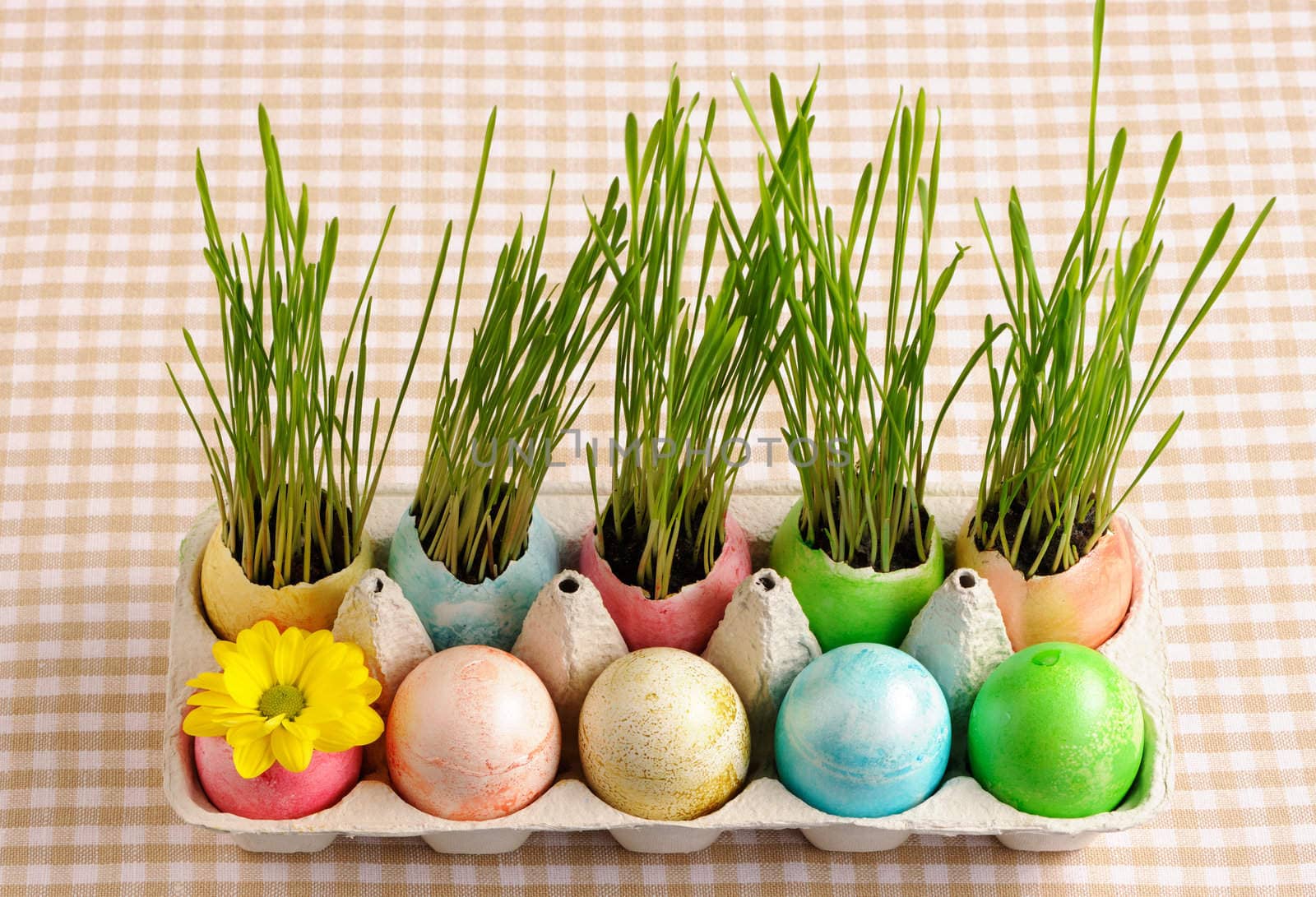 Colored easter eggs on table