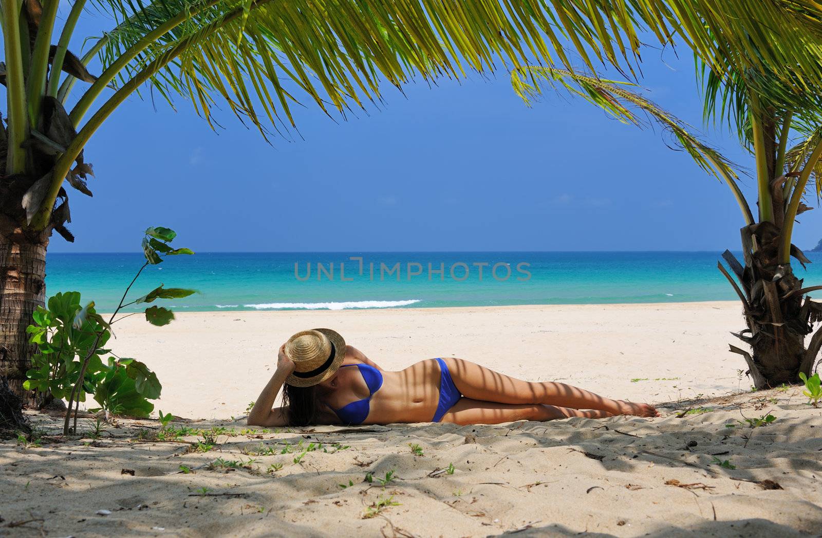 Woman at beach under palm tree by haveseen