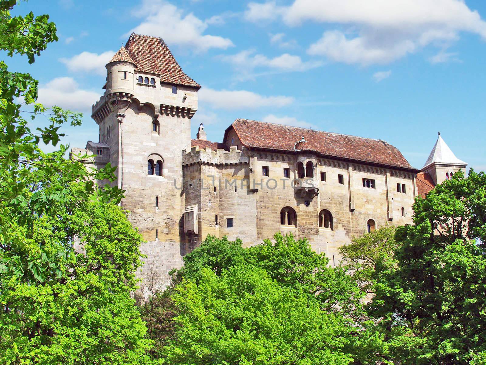 Castle Liechtenstein in Avstrii.Vensky forest. Vienna. Summer