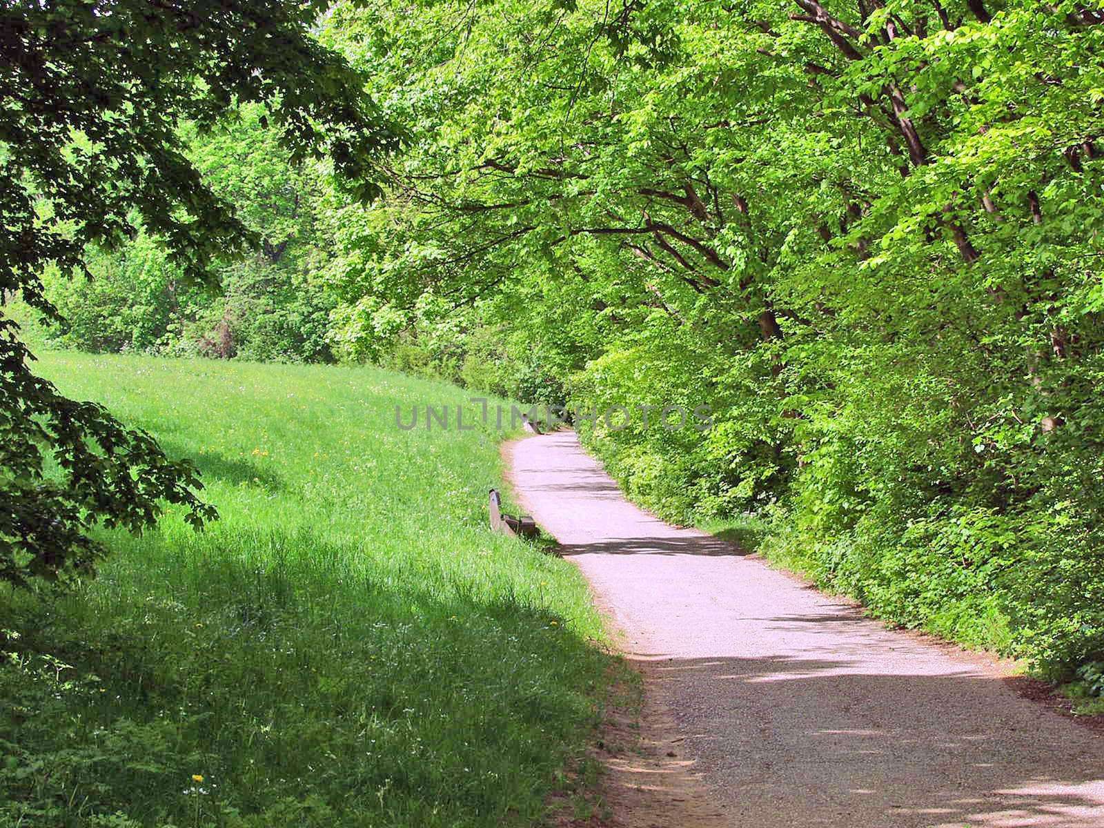 The path in the park by NickNick