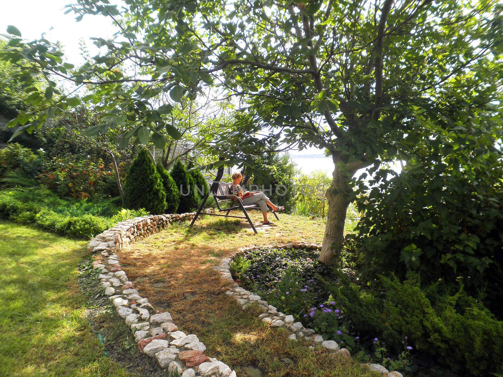 The girl is reading on a bench in the garden