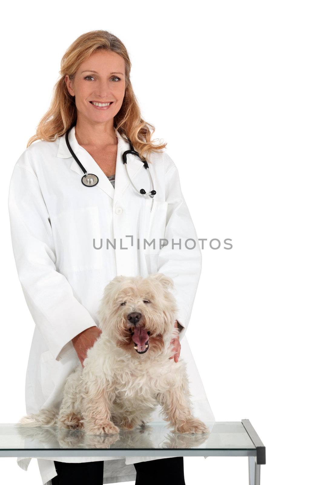 portrait of a veterinarian by phovoir