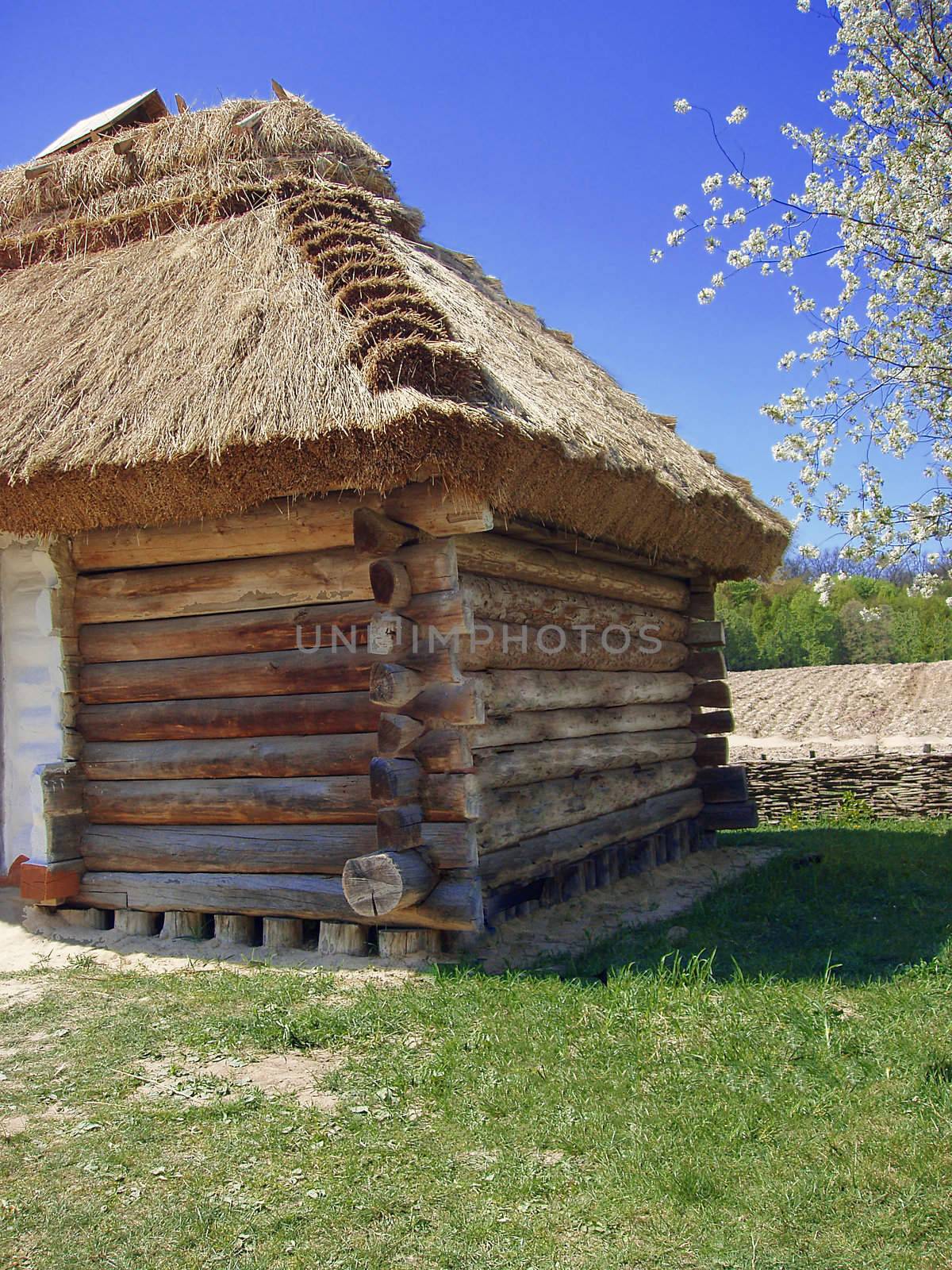 Ukrainian farmhouse under the thatched roof