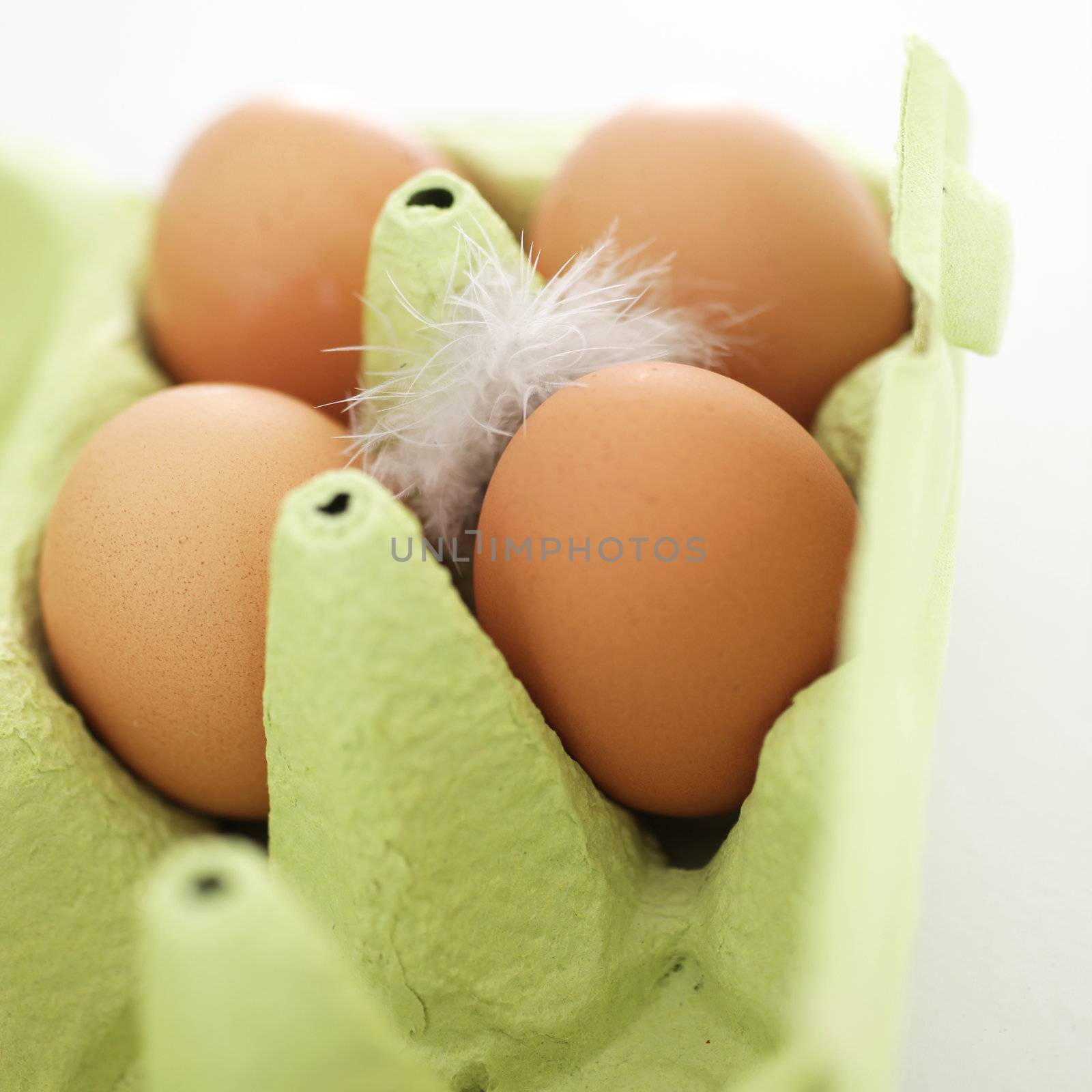 Cardboard carton with four fresh brown hens eggs and a soft fluffy white feather