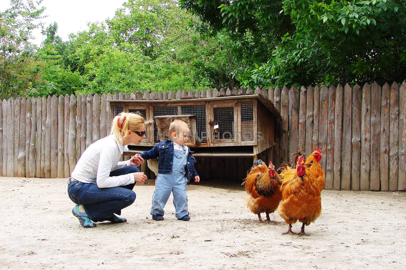 Mom and baby at the zoo by NickNick