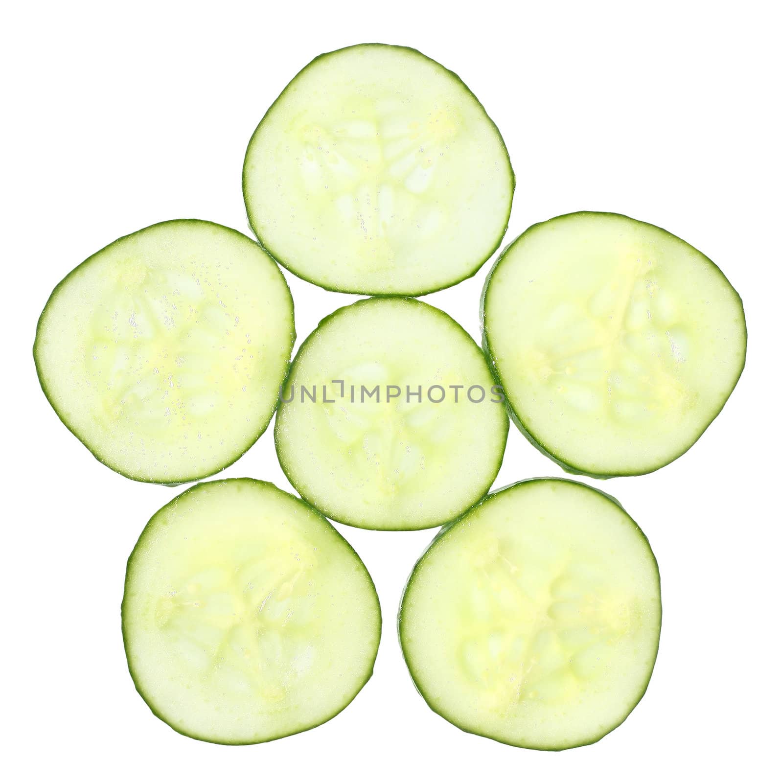 Fresh cucumber on a white background.
