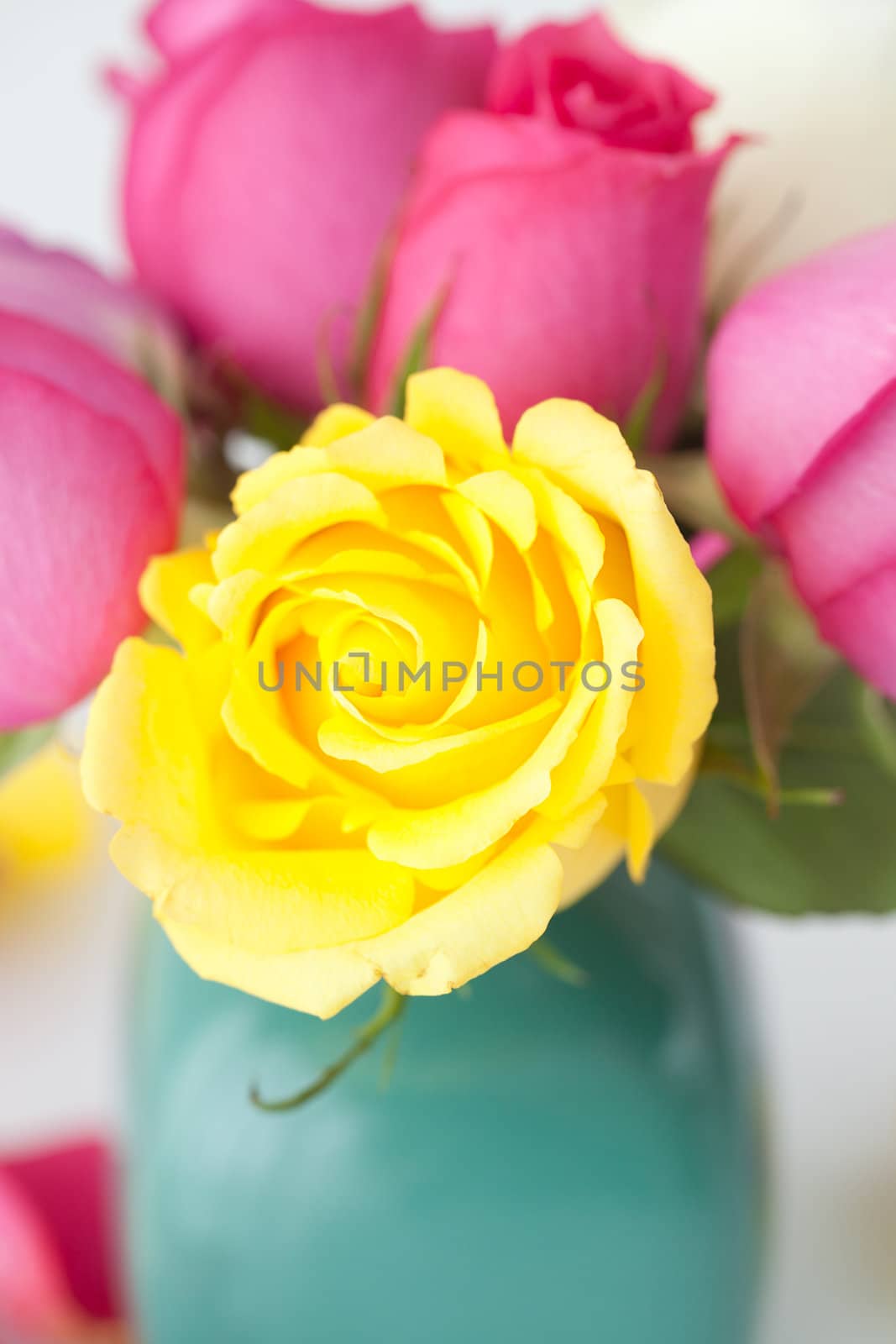 bouquet of colorful roses in vase and petals 