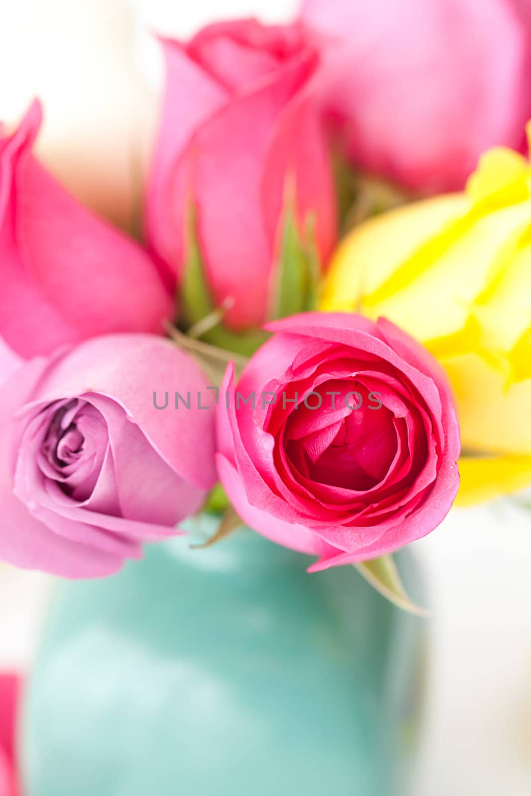 bouquet of colorful roses in vase and petals  by jannyjus